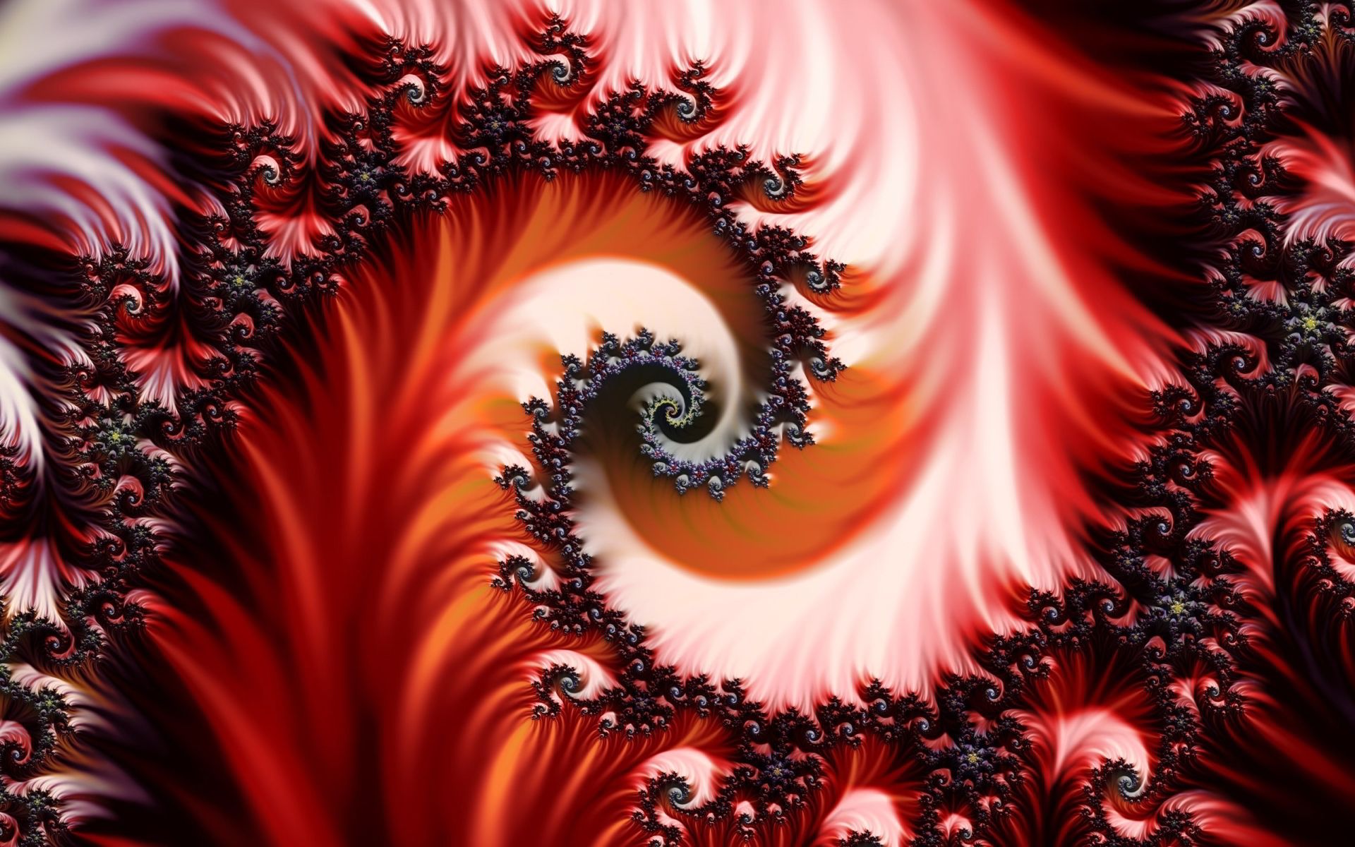 fractal+art | Abstract fractal art Wallpapers Pictures Photos Images ...