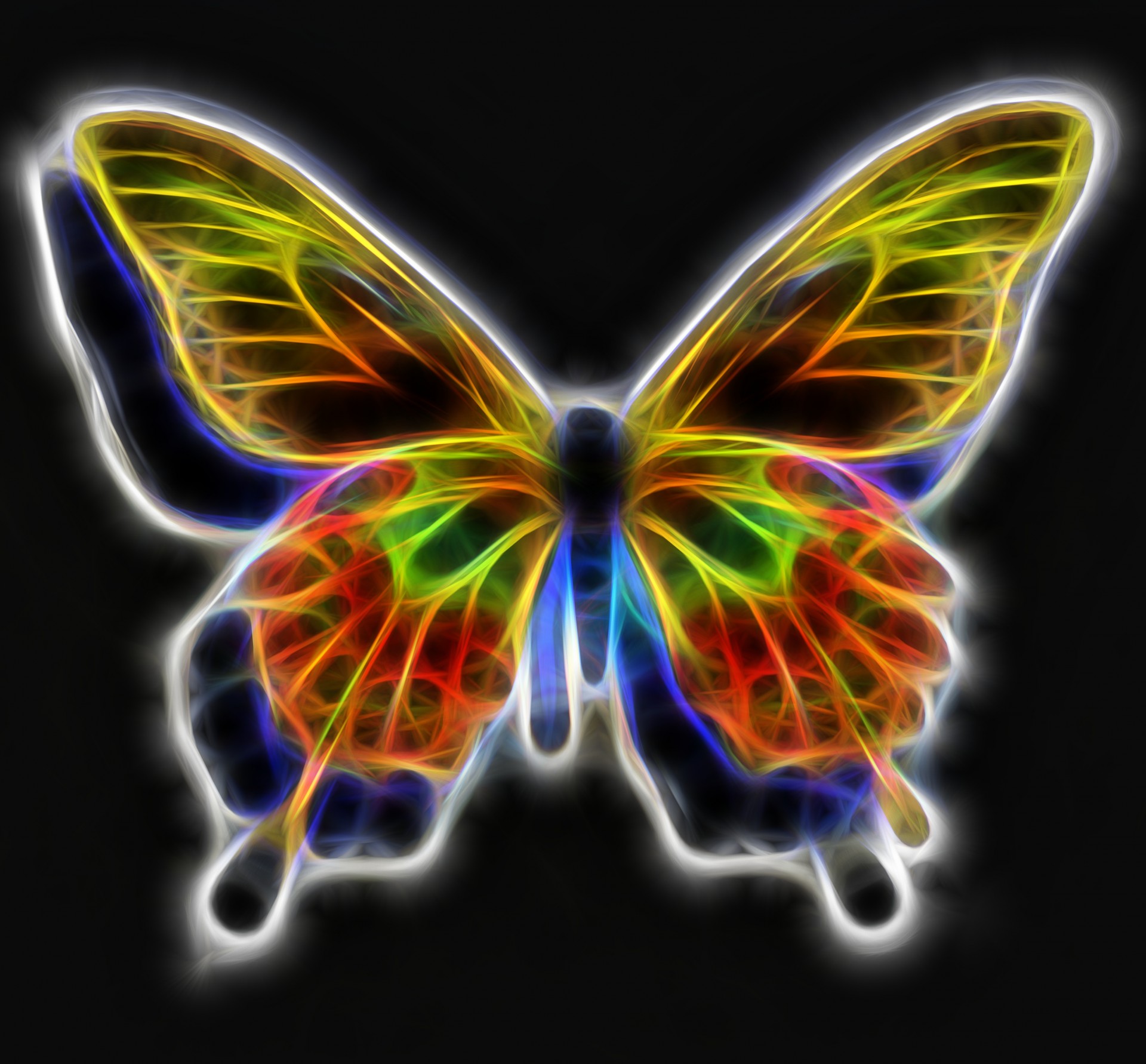 Fractal Butterfly Free Stock Photo - Public Domain Pictures