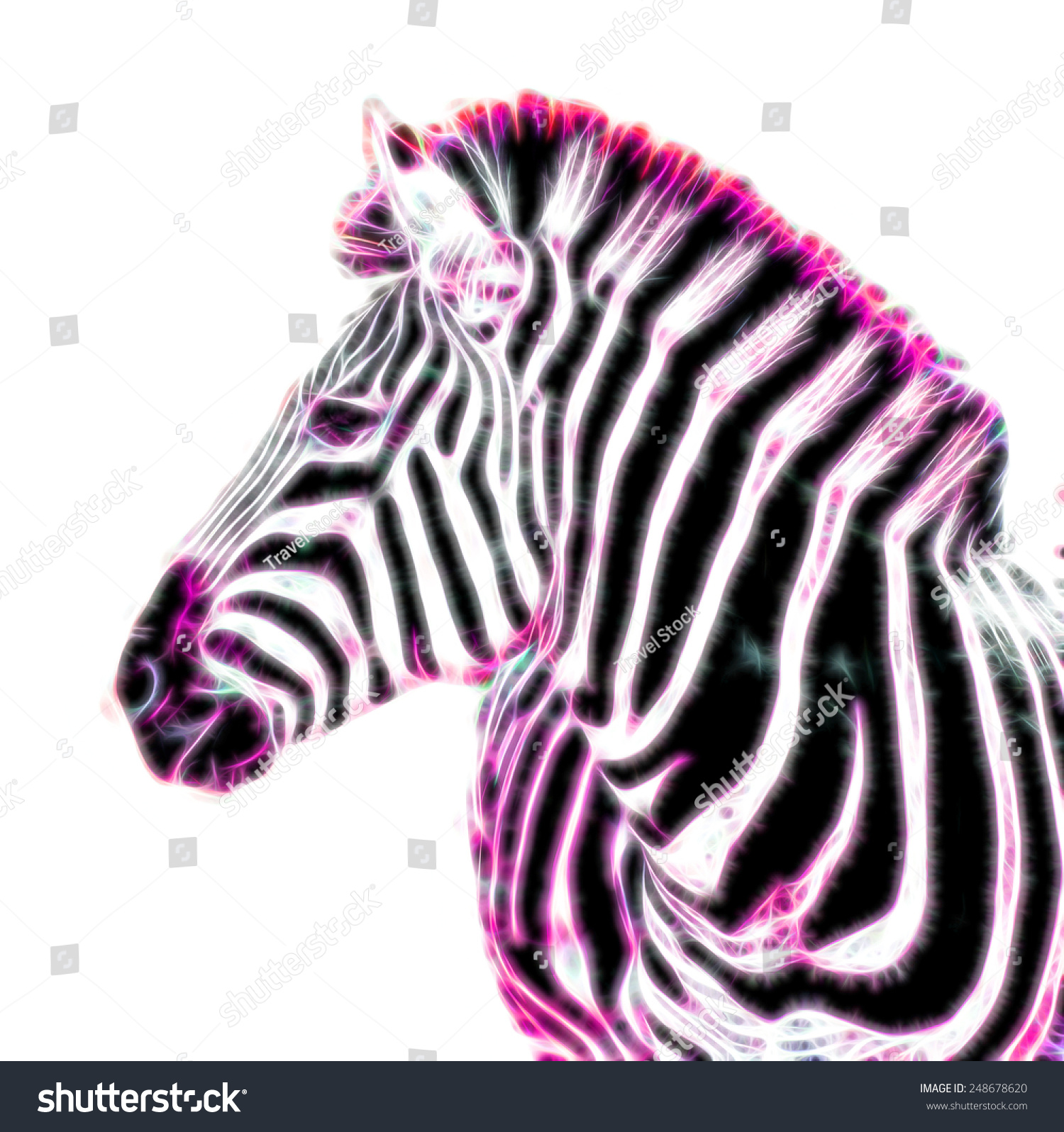 Fractal Illustration Zebra Stock Illustration 248678620 - Shutterstock