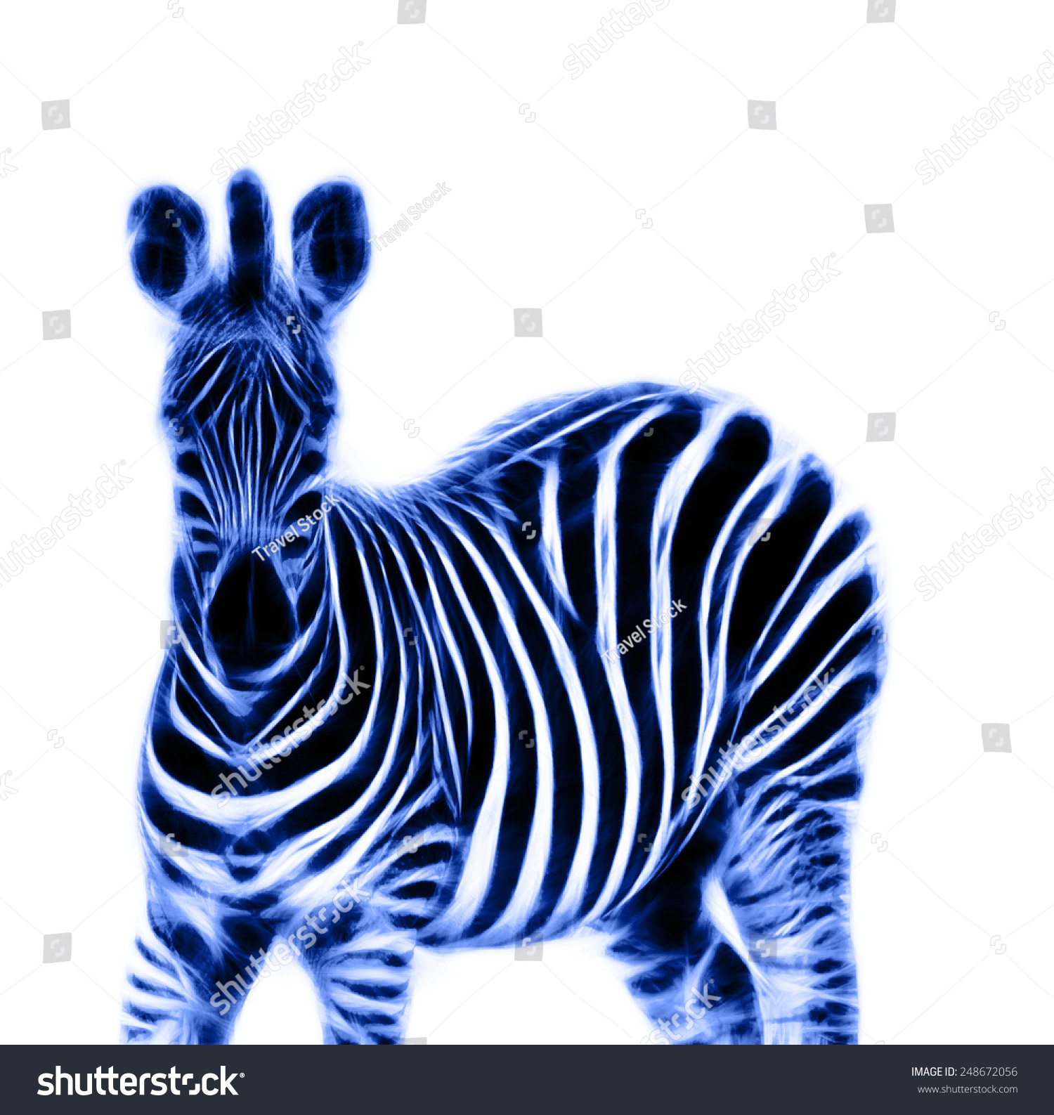 Fractal Illustration Zebra Stock Illustration 248672056 - Shutterstock