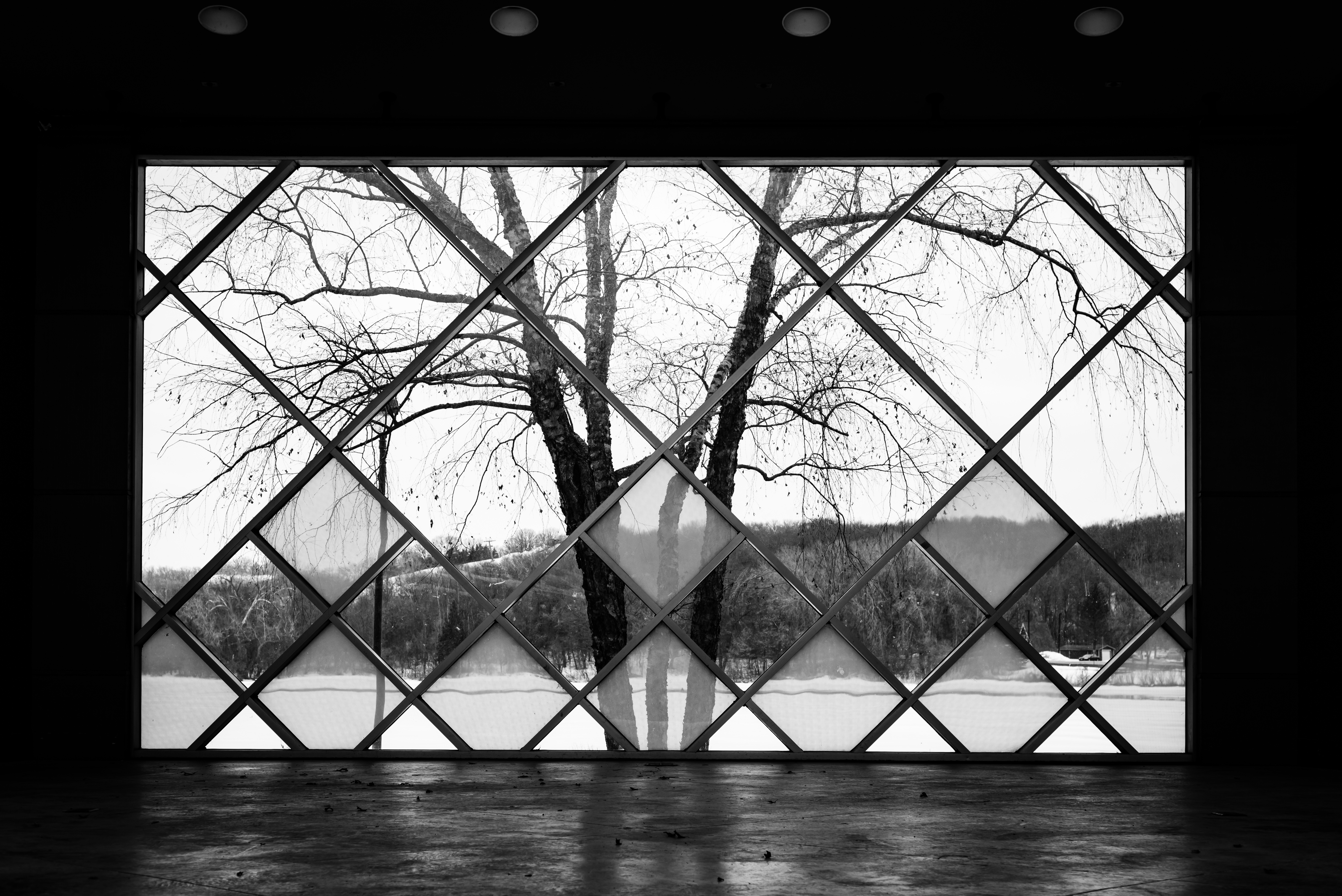 Framed by a Window, Black, Frame, Tree, Water, HQ Photo