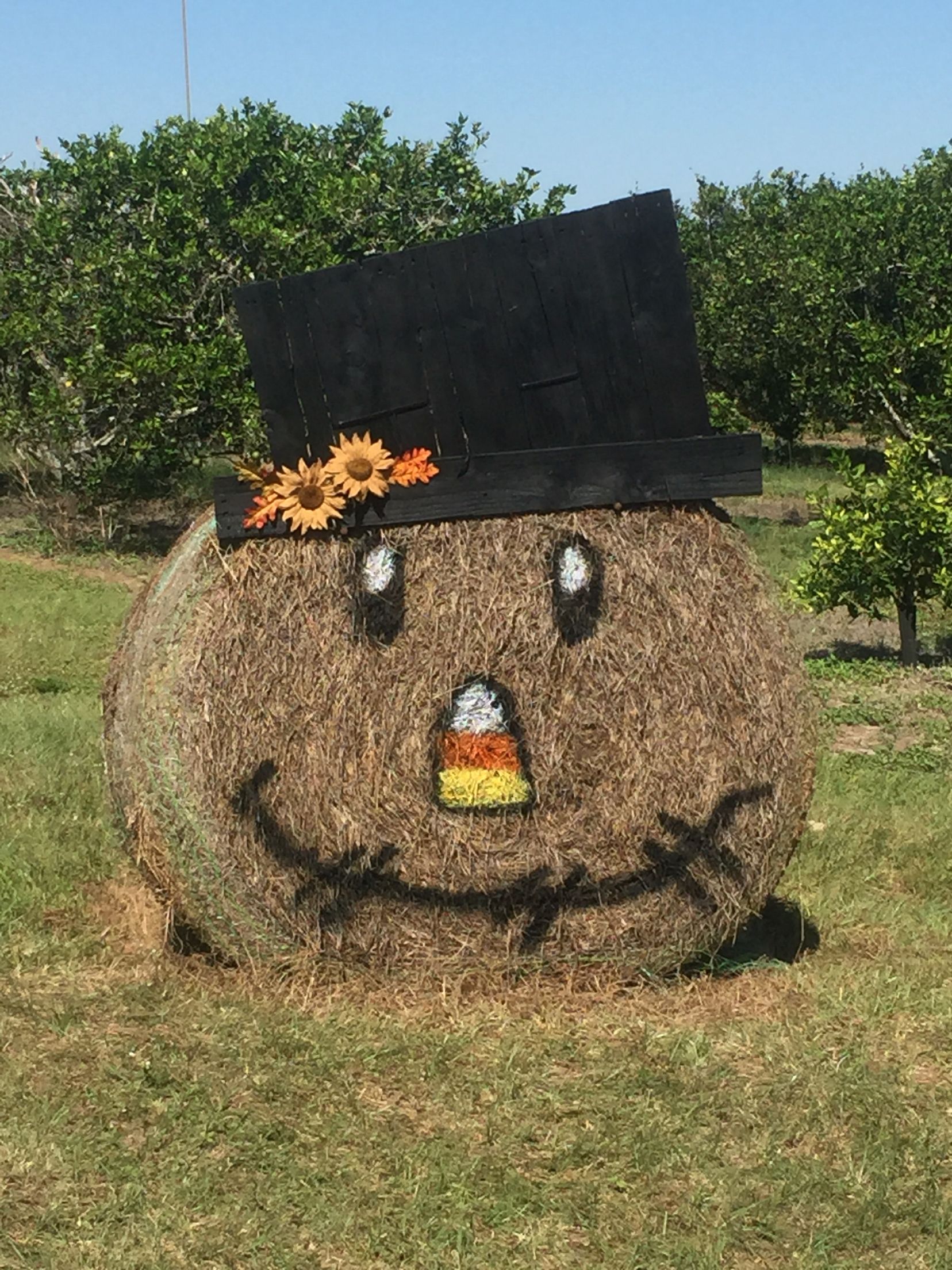 Mr. Scarecrow from a round hay bale. | Fall Ideas | Pinterest | Hay ...
