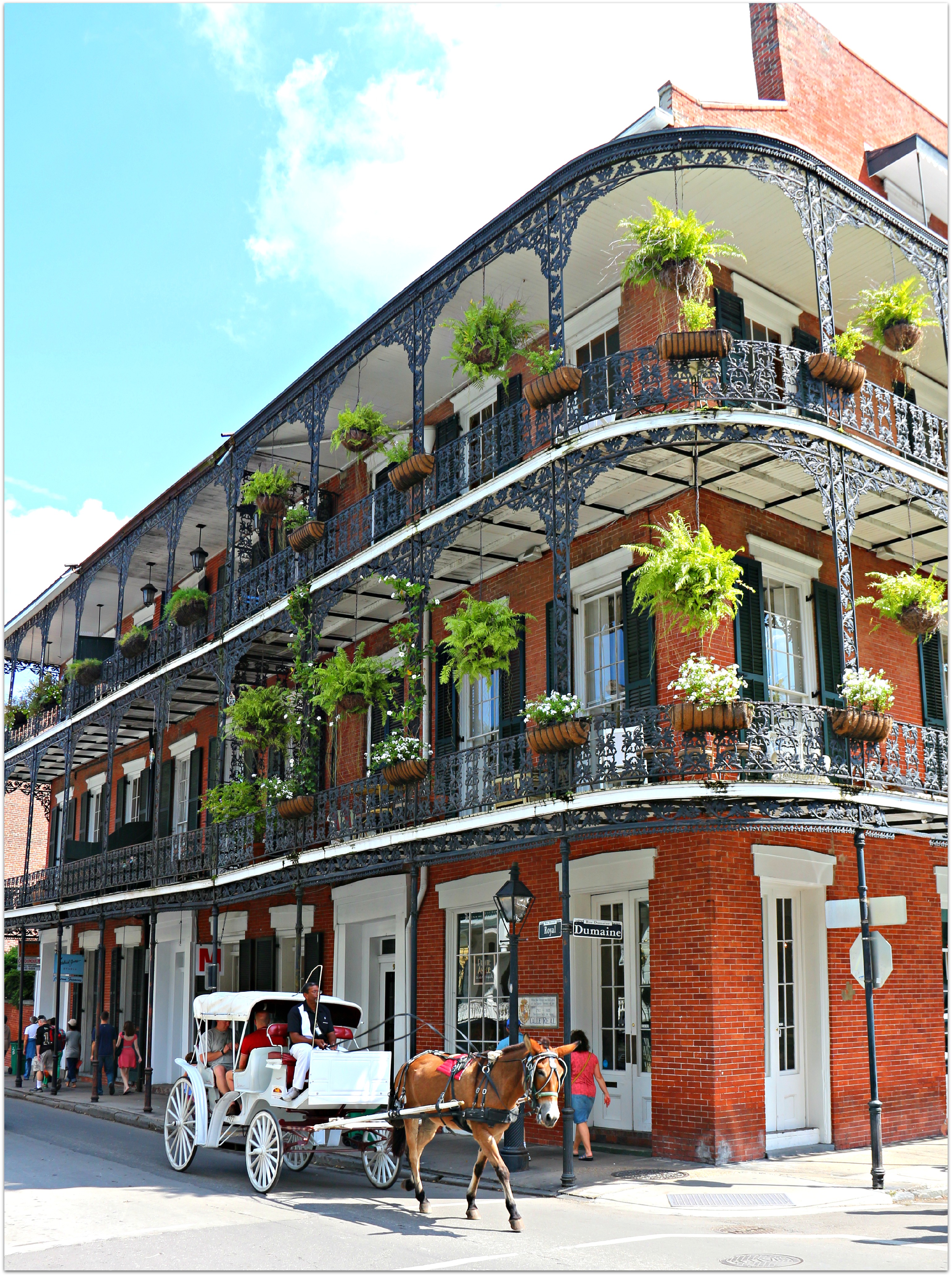 French Quarter | New Orleans Condo Trends by Eric Bouler