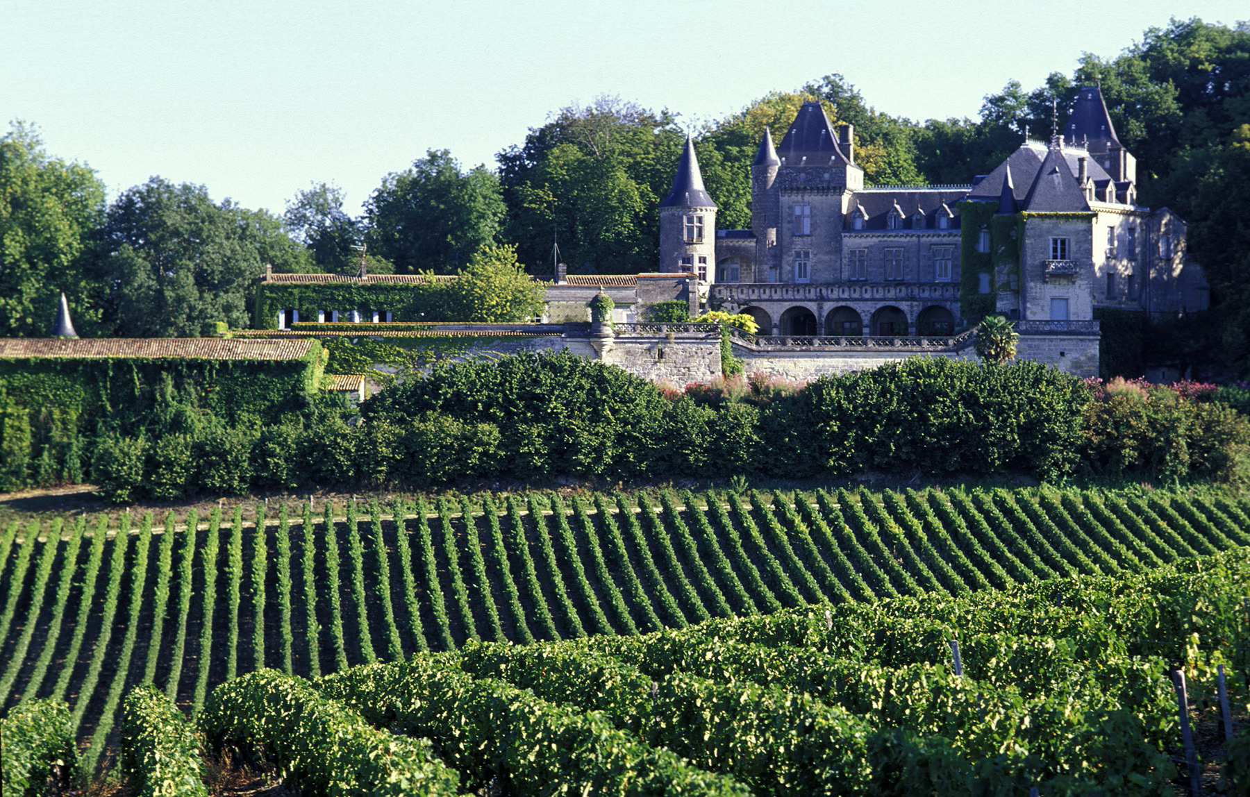 13 French Vineyards in the Garonne To Consider