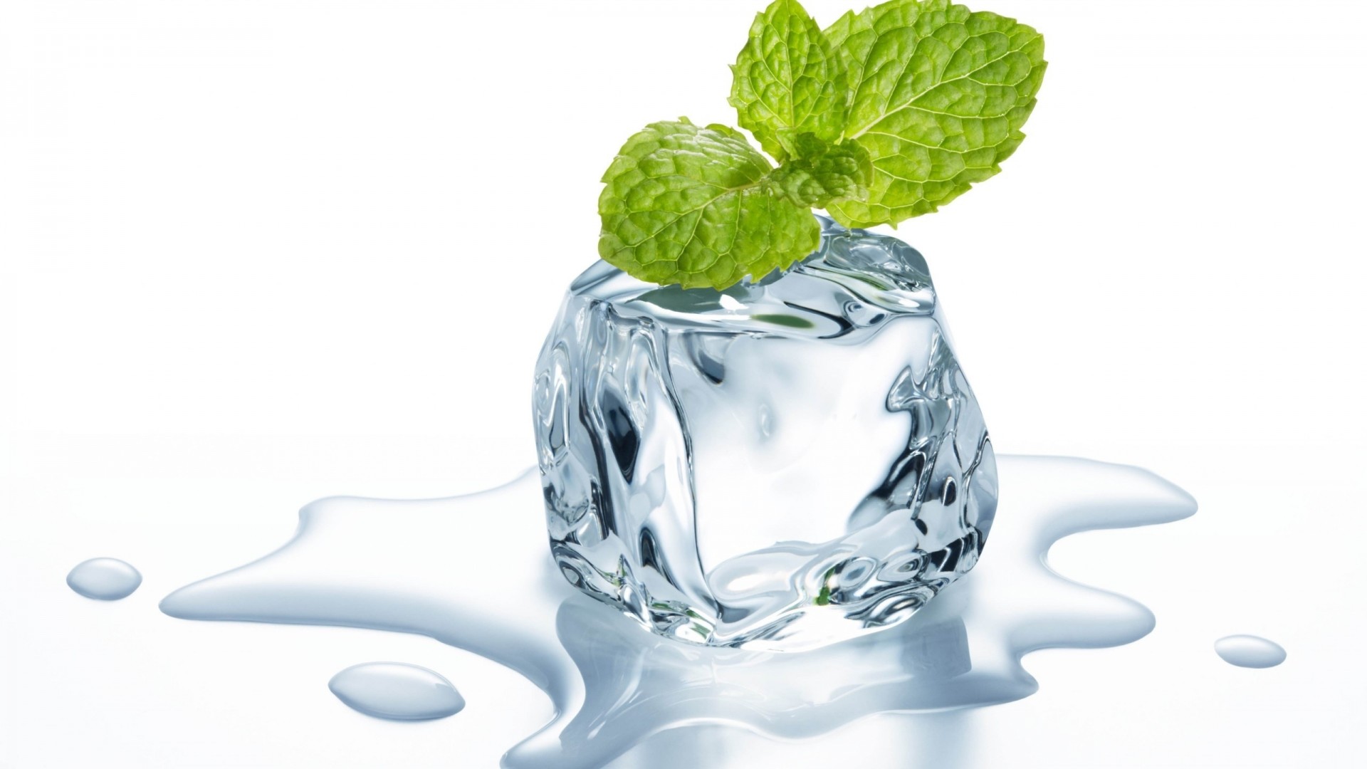 A mint on the ice cube - Fresh HD wallpaper - Wallpapersfans.com