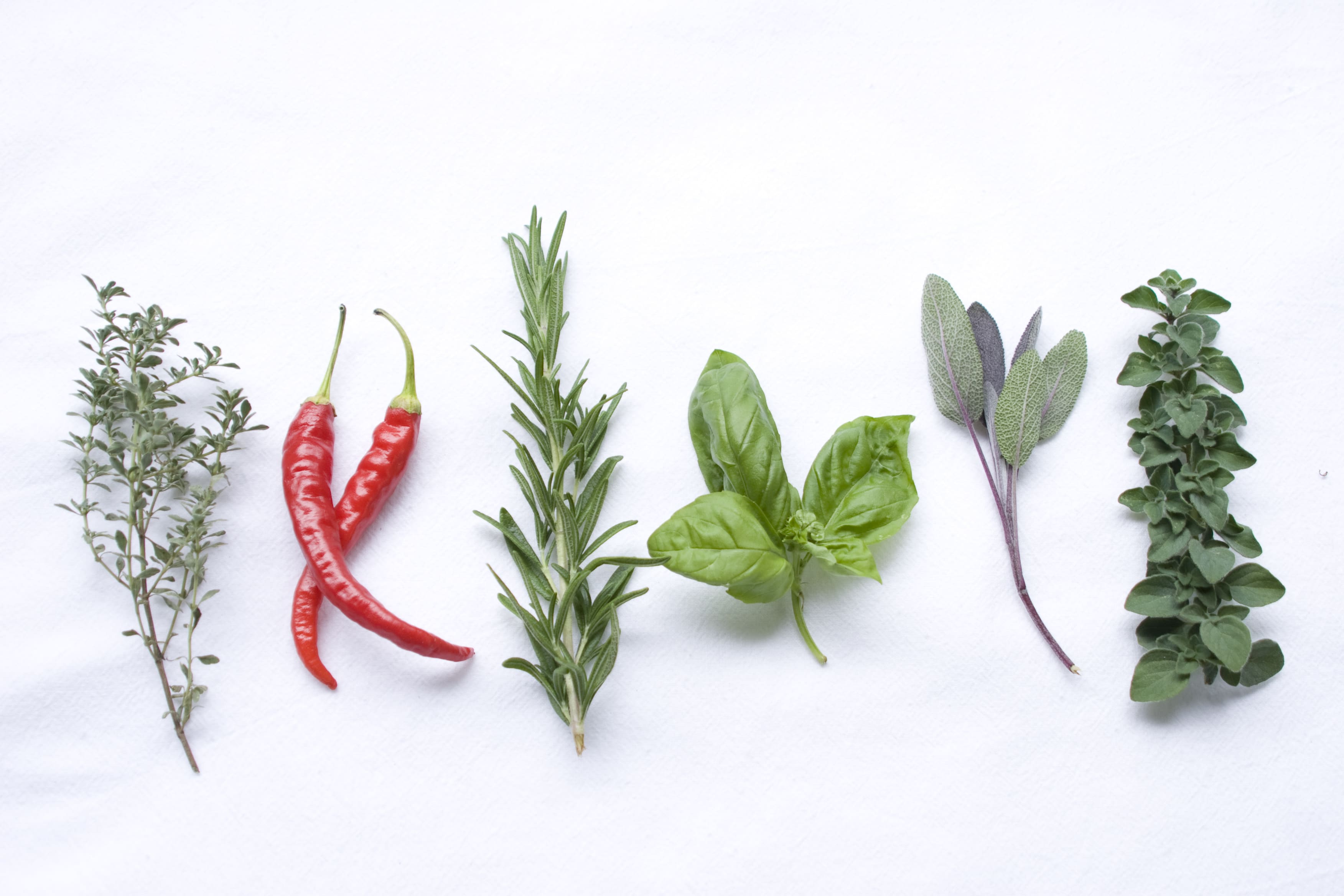 Italian Herbs & Spices | Cooking with Fresh Herbs & Spices