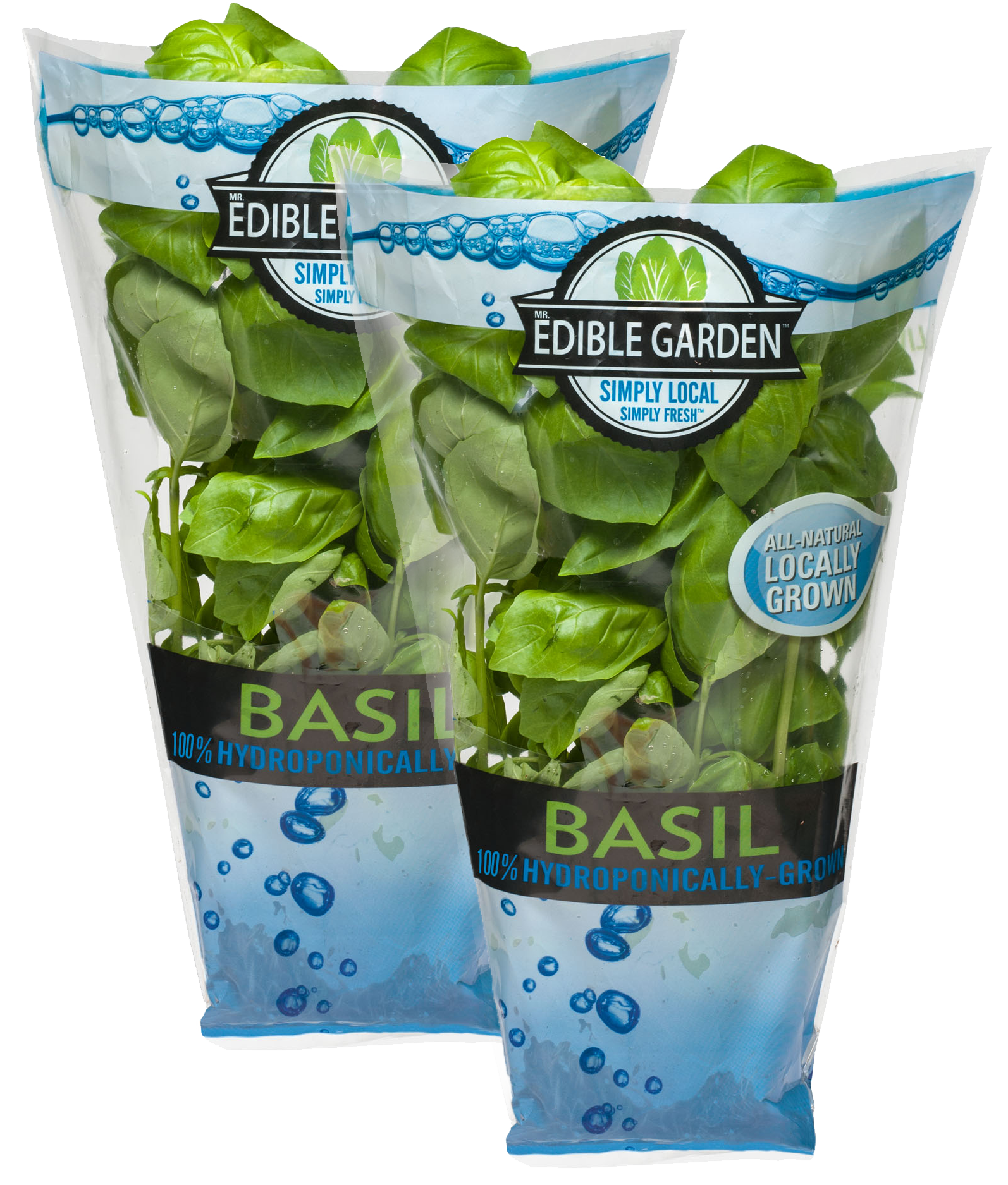 Living Fresh Basil :: Edible Garden Corp.