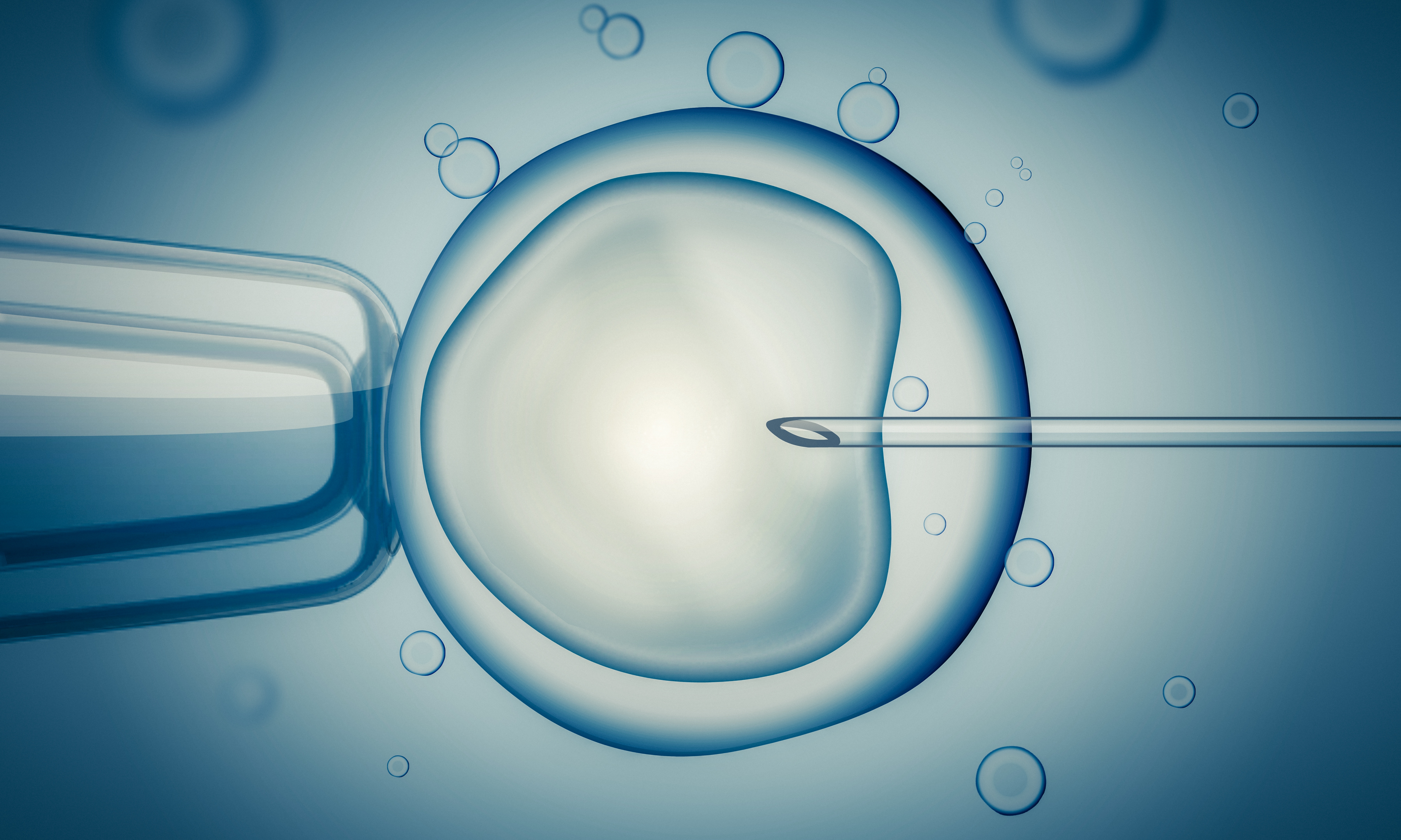 Fresh Embryo Transfers & Delayed Embryo Transfers | Aspire Fertility ...