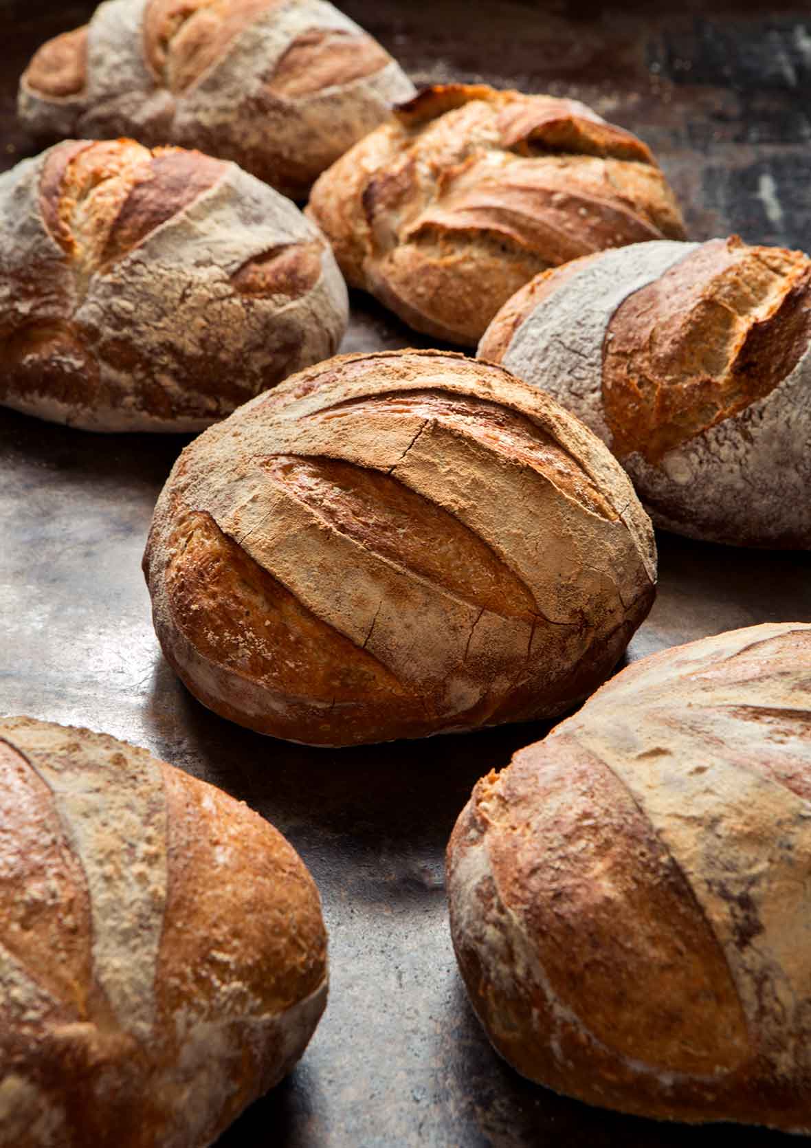 Fresh Baked Bread 6 