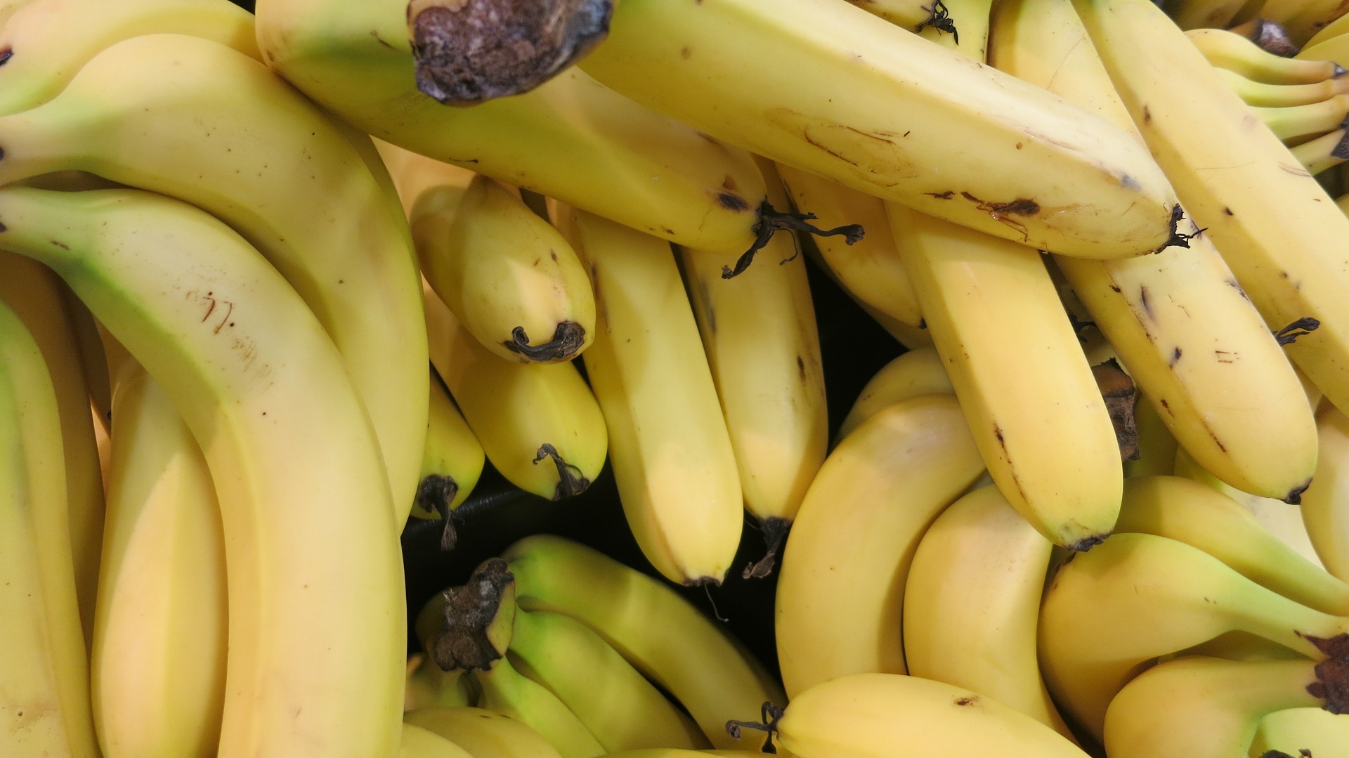 Fresh bananas photo