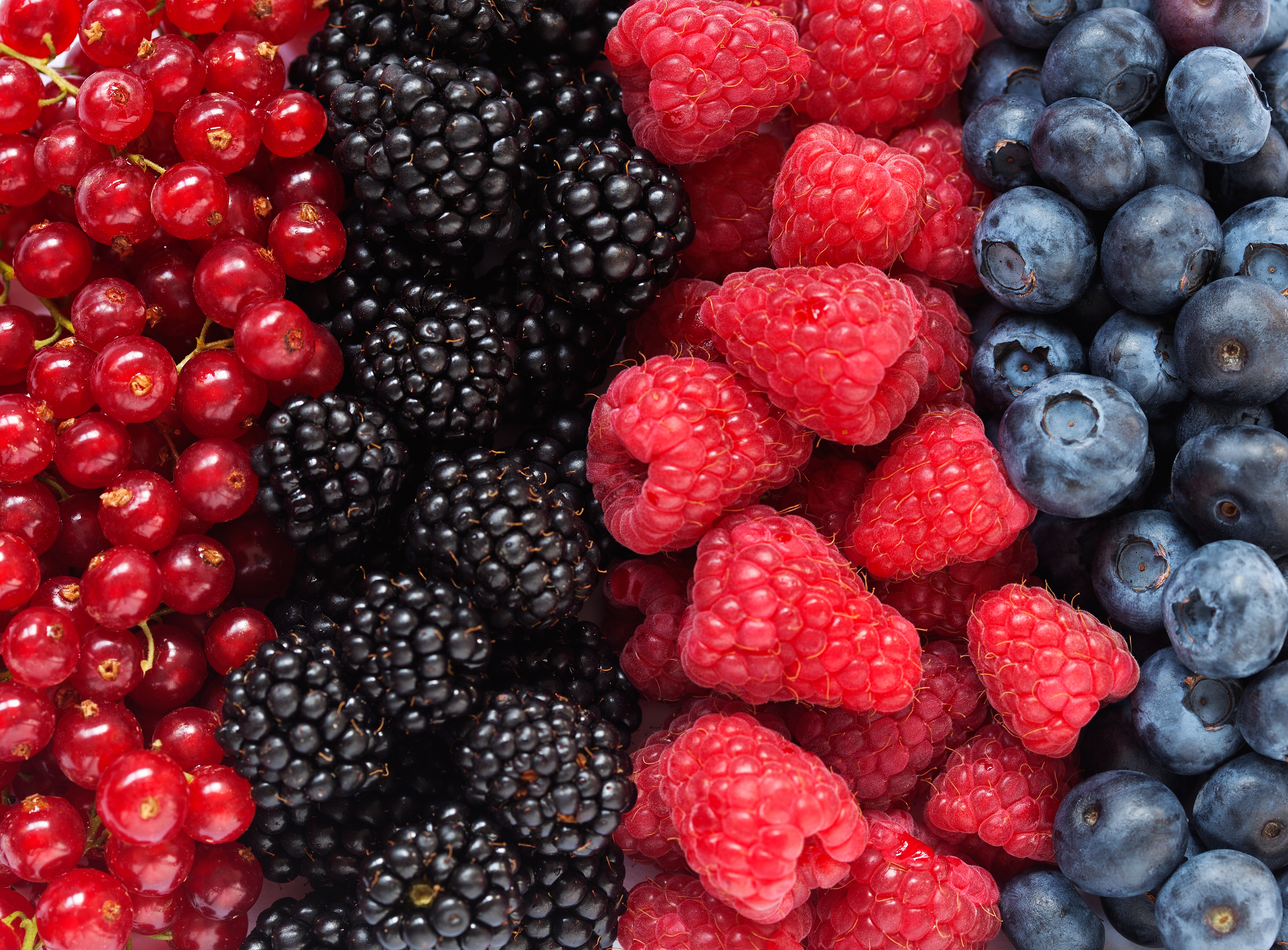 Berry Good Ways to Help Your Body Prevent or Fight Cancer | Roswell ...