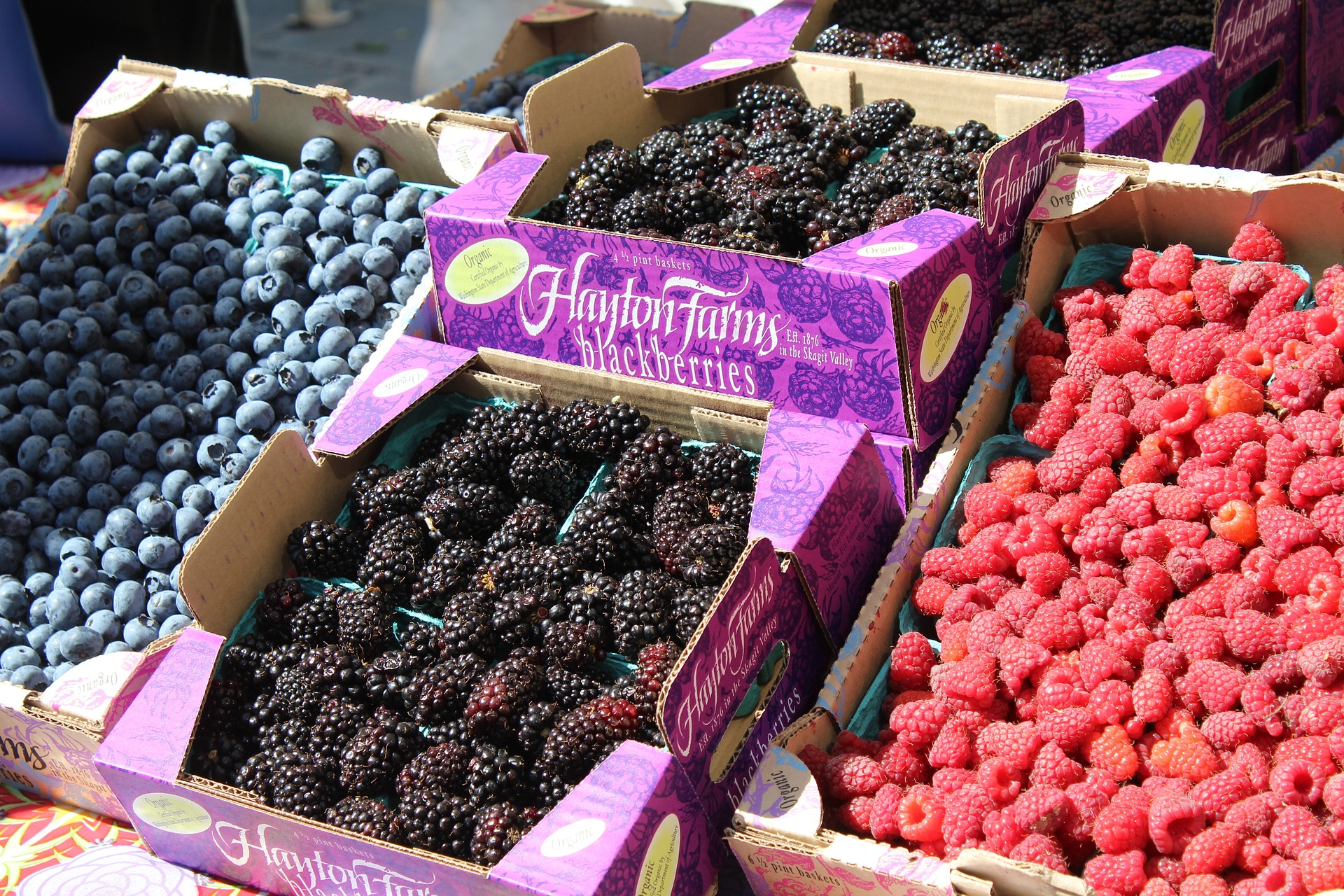 Fresh berries stall photo