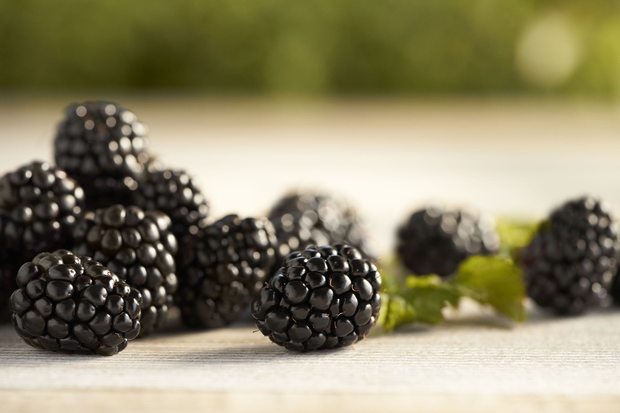 Fresh blackberries photo