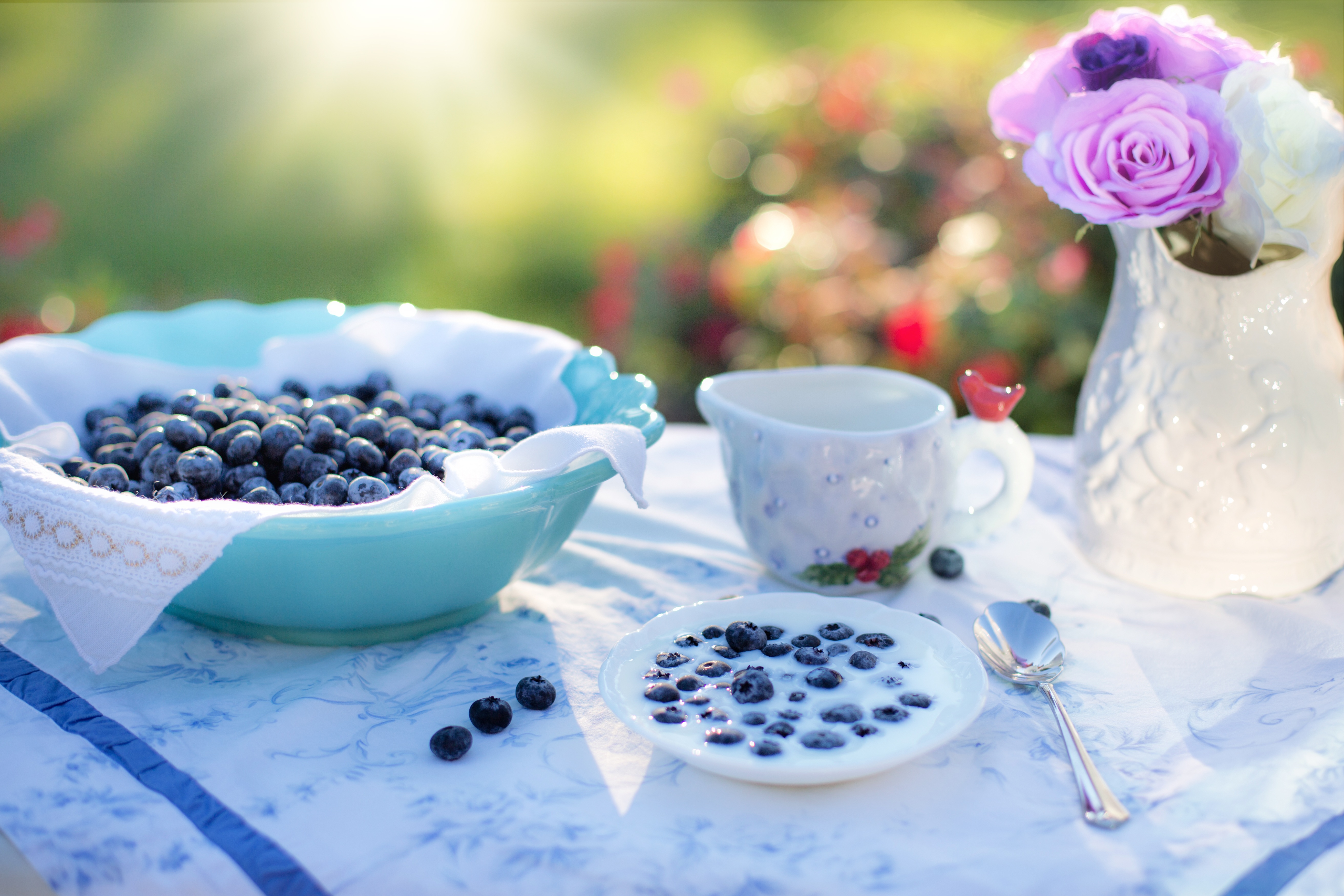 Fresh blueberries photo