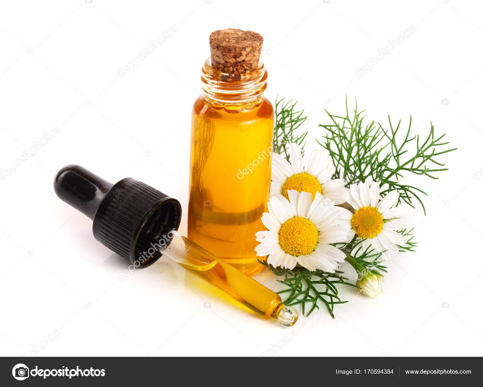 bottle with essential oil and fresh chamomile flowers isolated on ...
