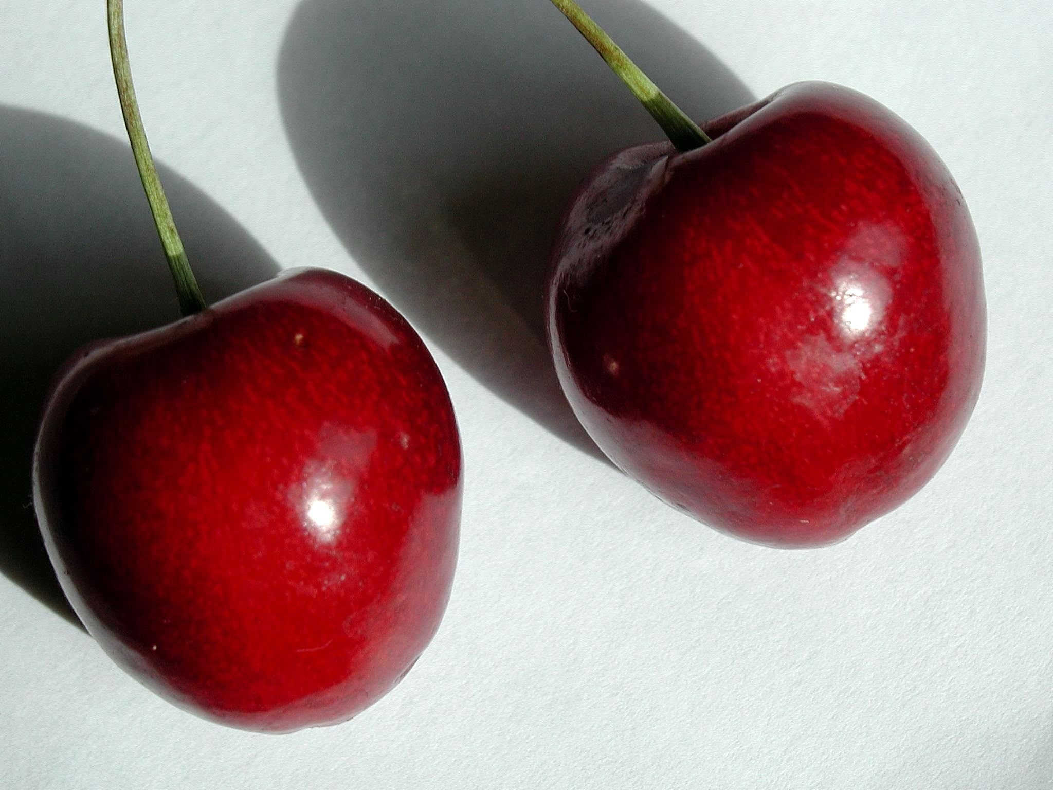Fresh cherries photo