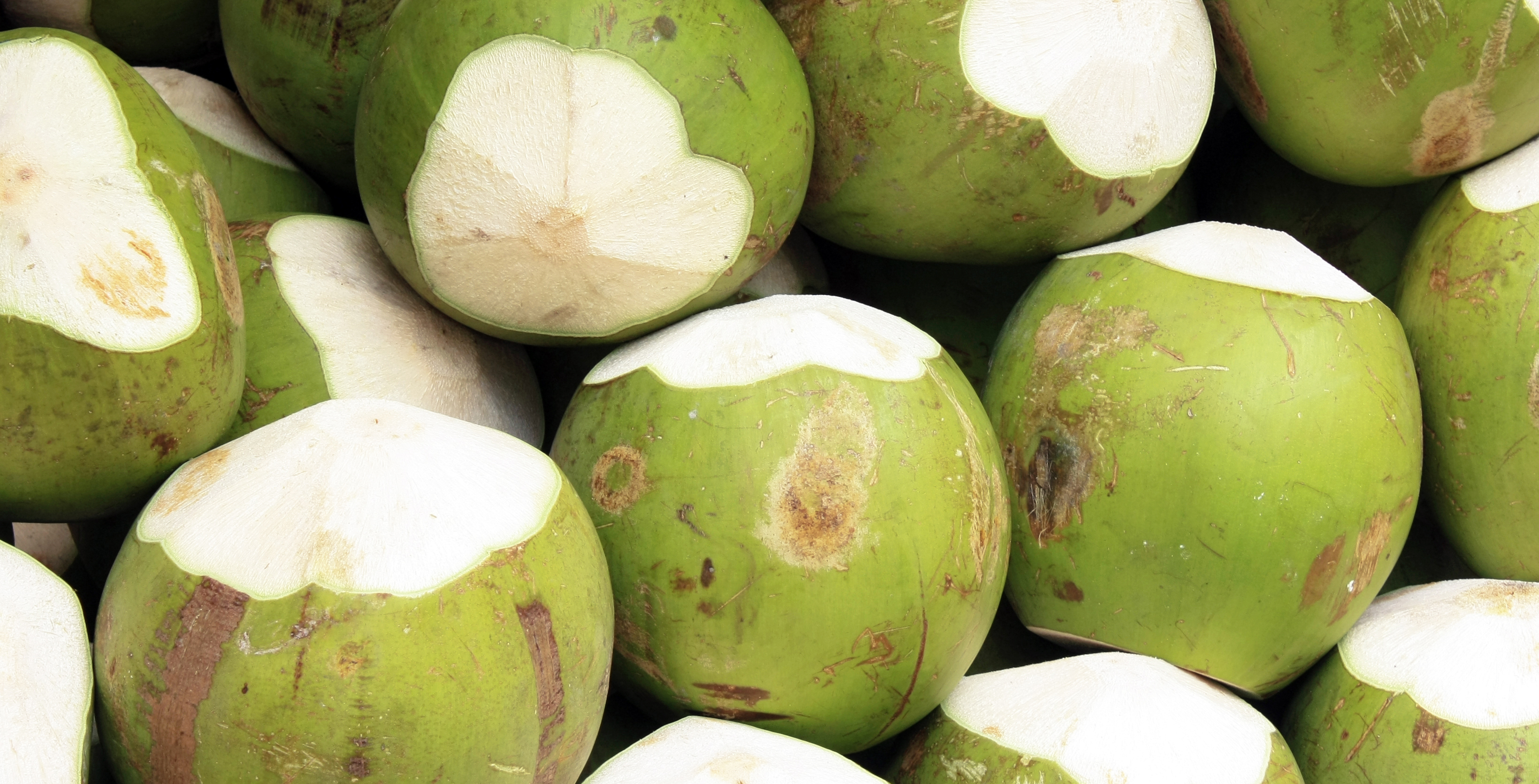 The Benefits Of Fresh Coconuts