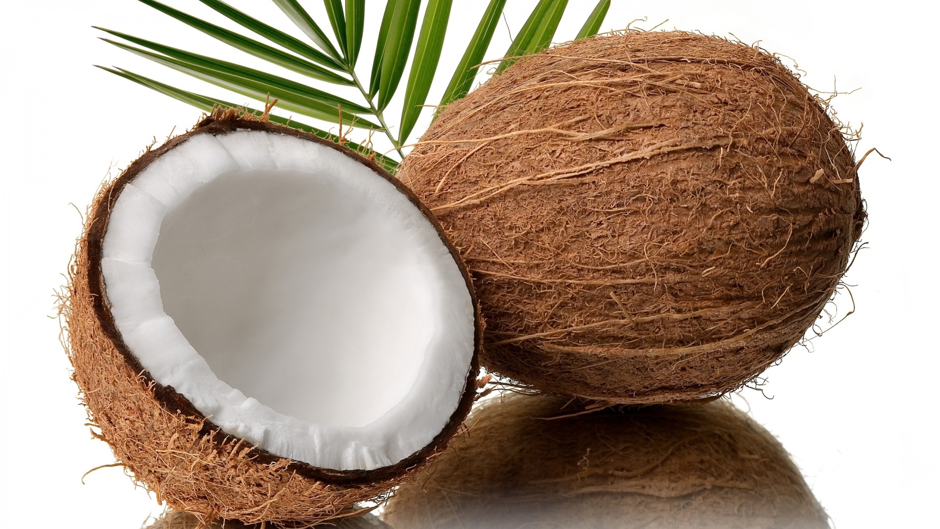 Fresh Coconut - 1920x1080 - 736746