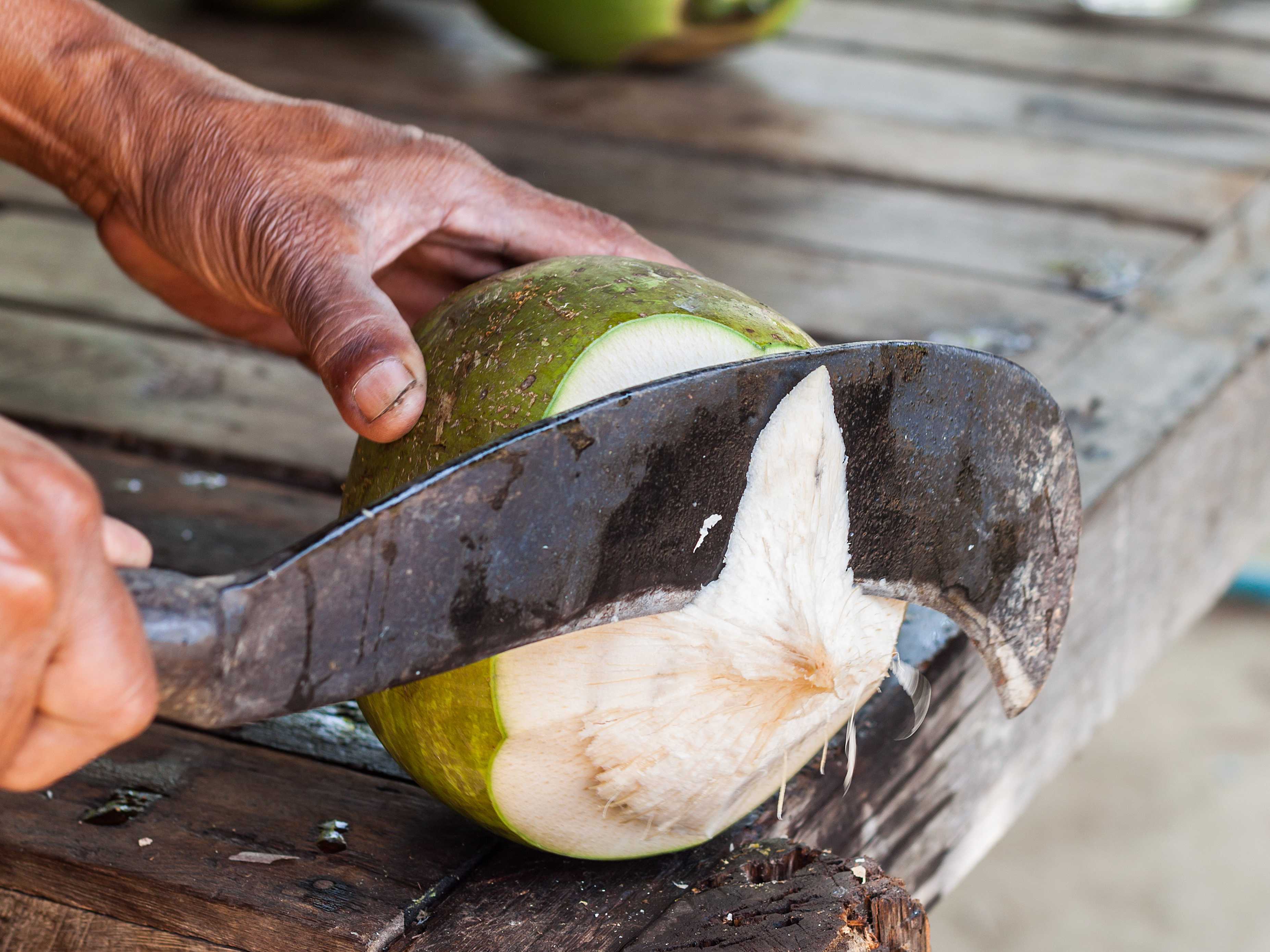 This is how you cut and drink a fresh coconut - Business Insider