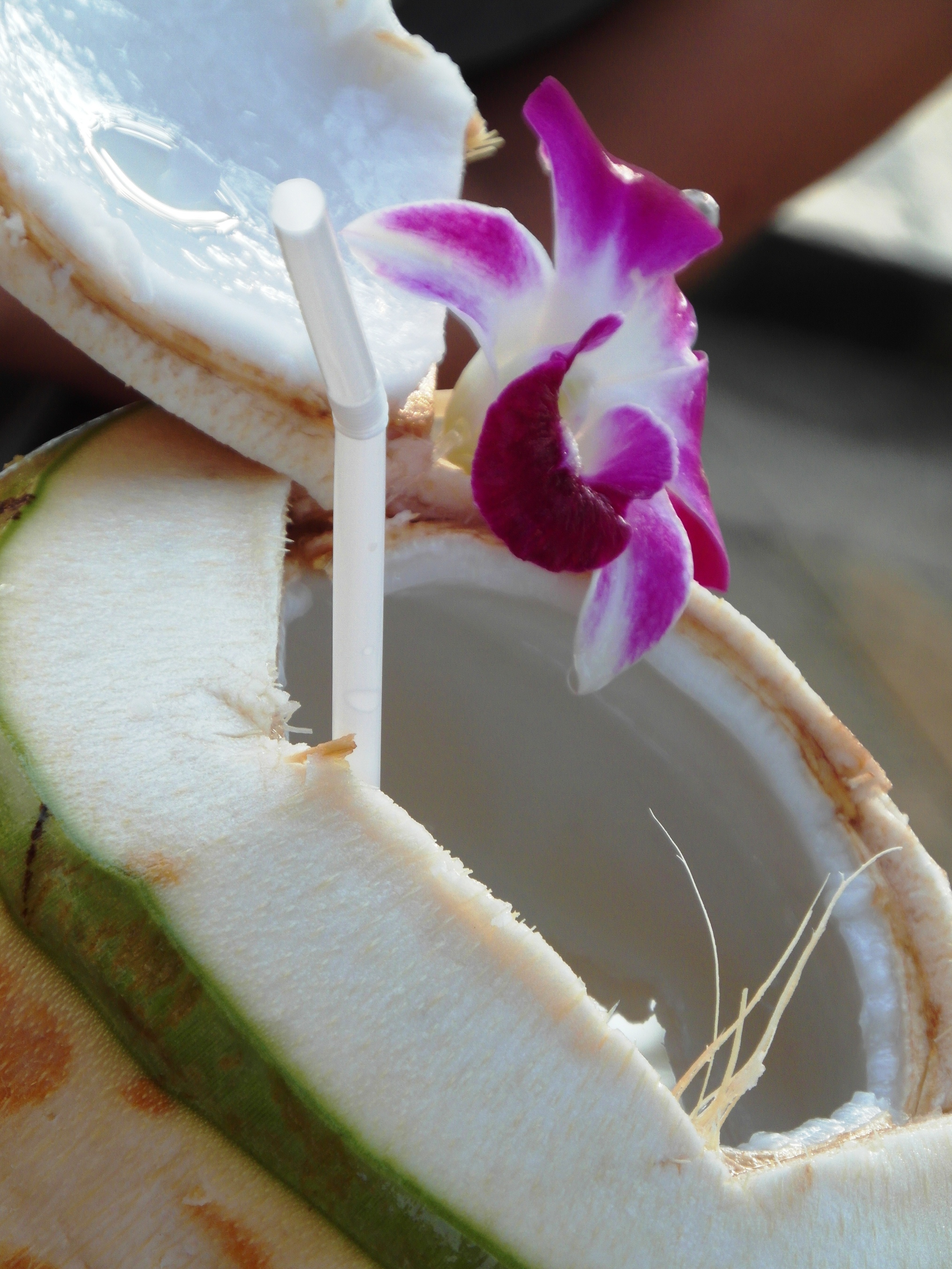 Fresh coconut drink on the beach photo