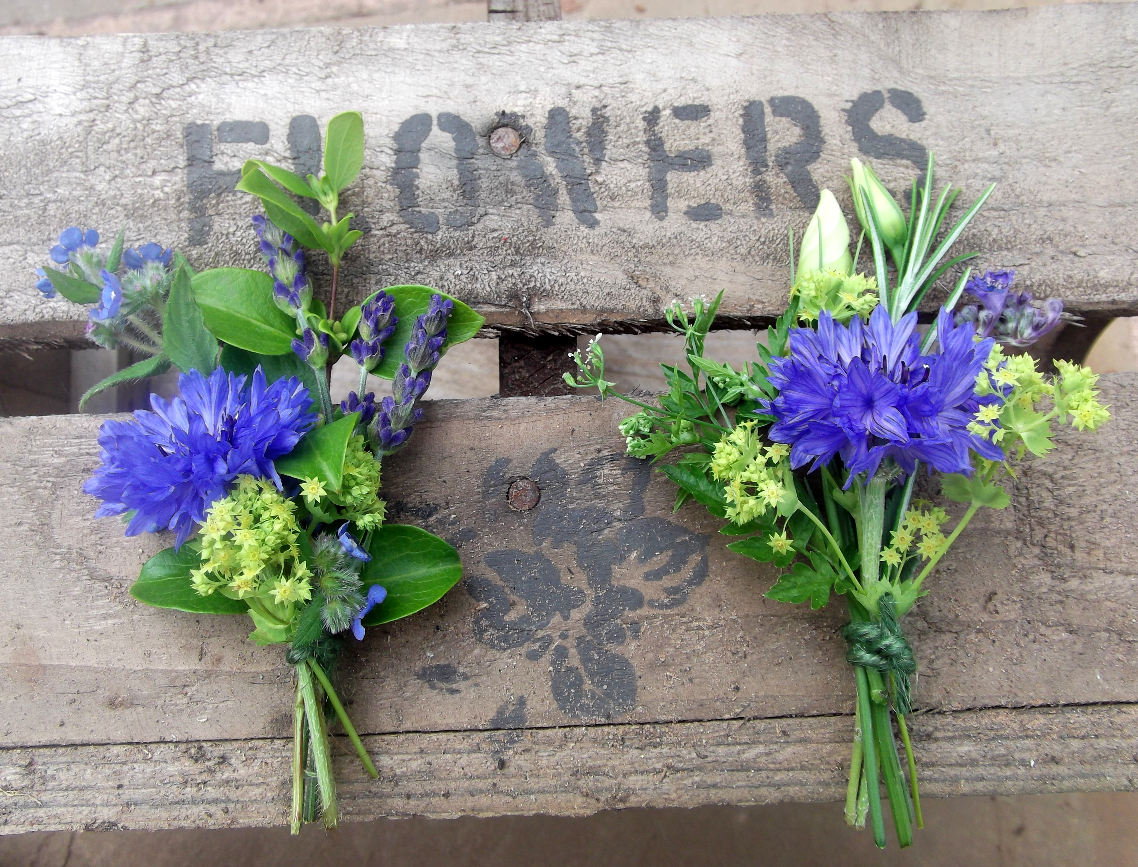 Wedding Decor : Fresh Cornflower Blue Wedding Decorations In 2018 ...