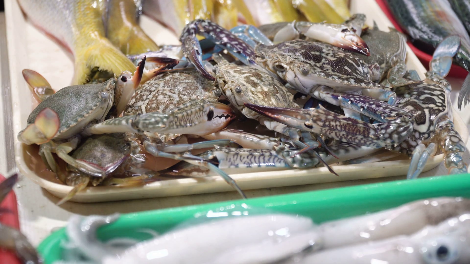 Fresh crabs in Asian market. Sale of fresh crabs fish in the Asian ...