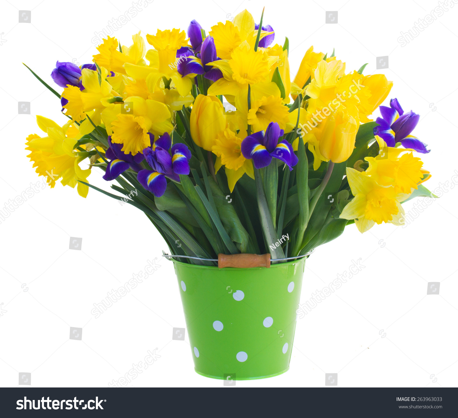 Bunch Fresh Spring Yellow Daffodils Irises Stock Photo 263963033 ...
