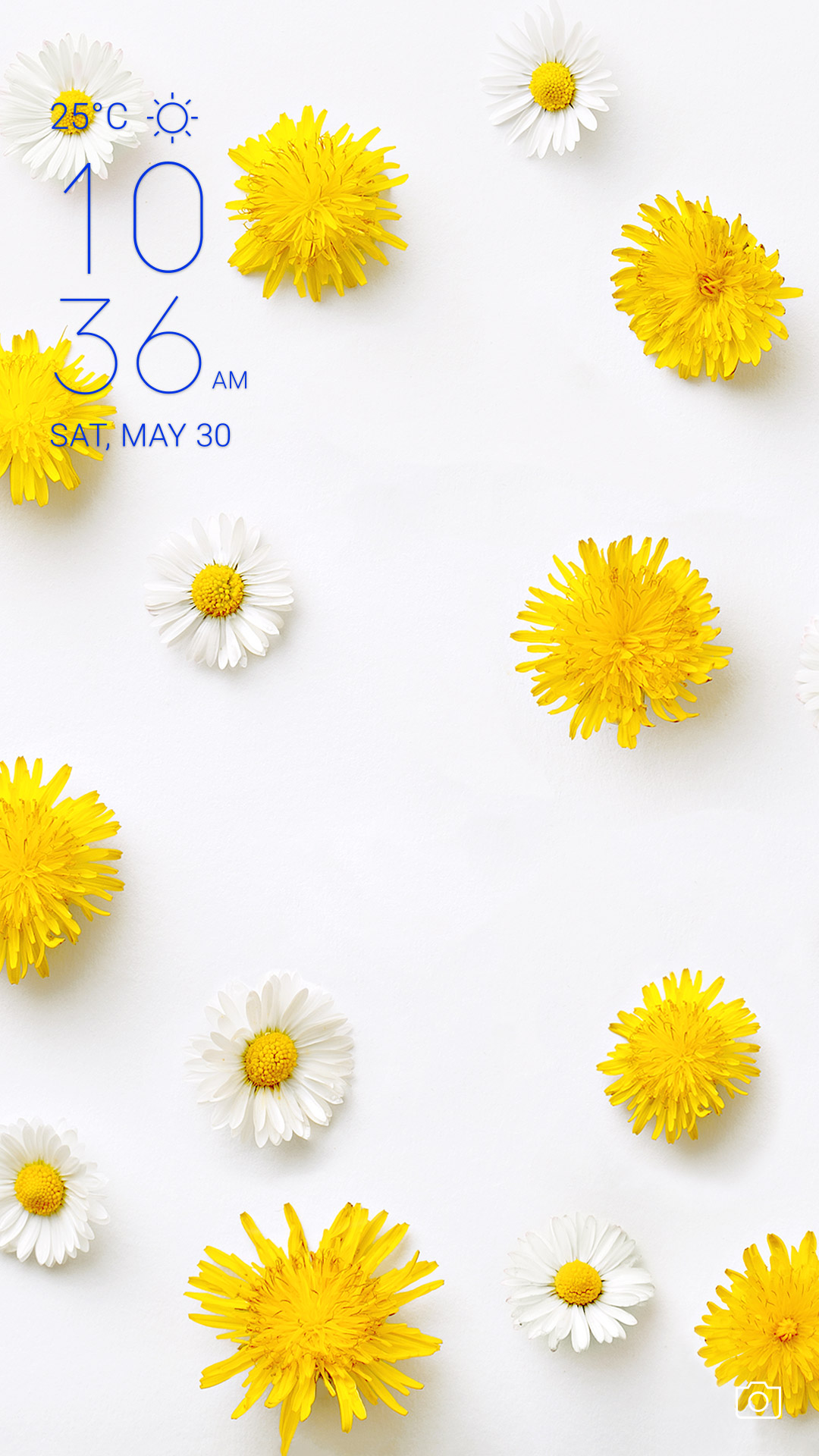 Fresh Daisy_20170920_lockscreen_170920114522.jpg