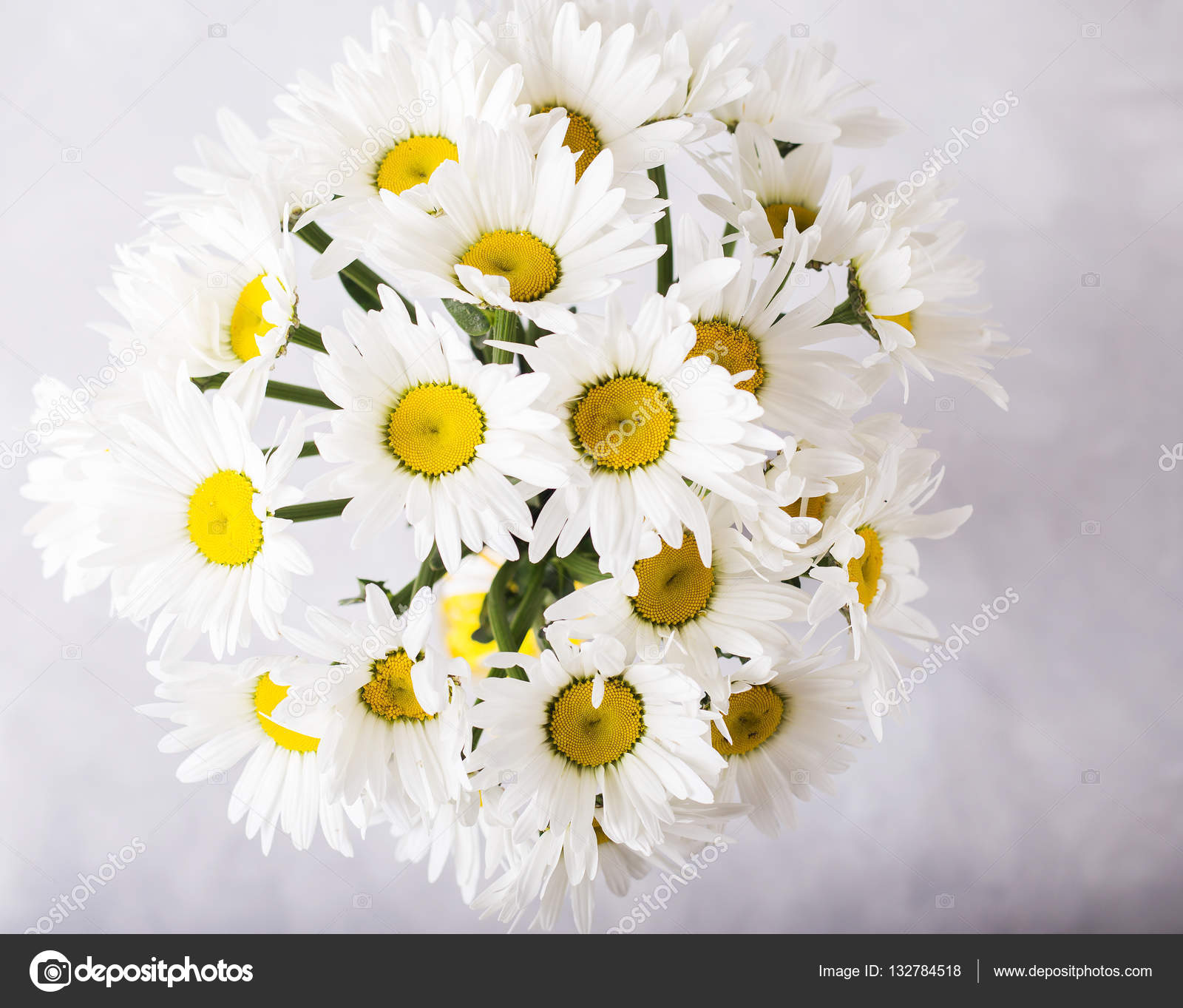 Bouquet of white daisies on a light gray background. Still life with ...