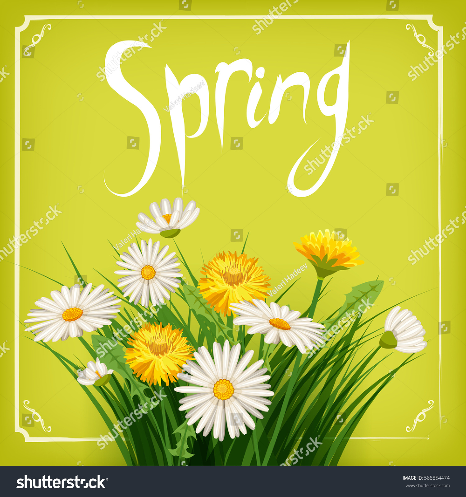 Fresh Spring Daisies Dandelions Grass Greeting Stock Vector HD ...