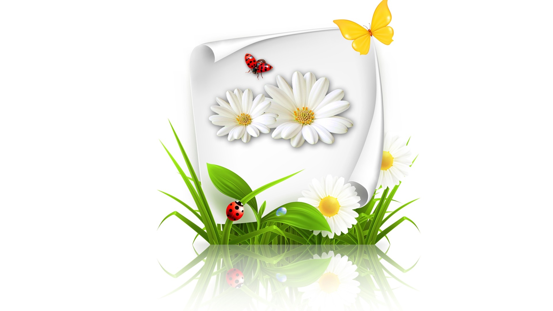 Flowers: Butterfly Touches Tiny Ladybug Grass Spring Daisy Chamomile ...