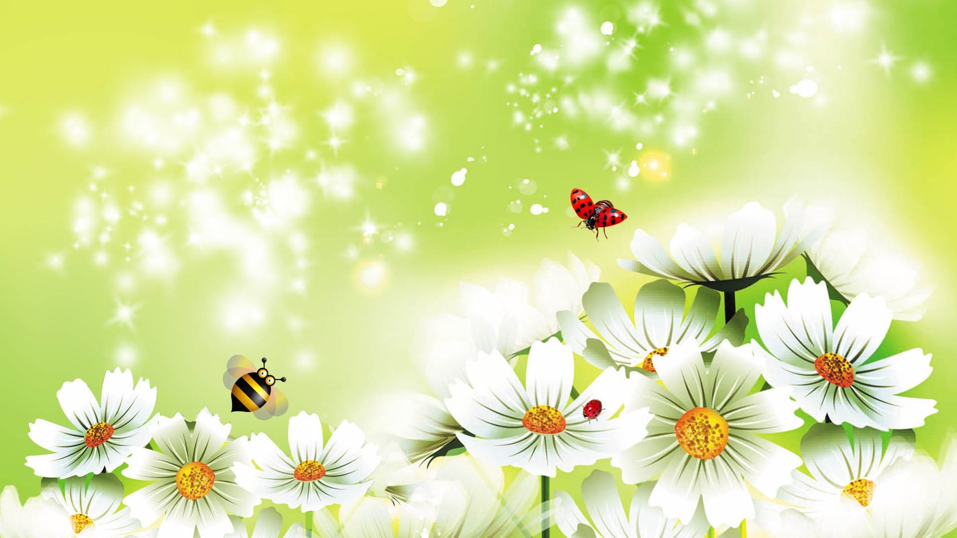 Flower: Daisies Green Fresh Flowers Ladybugs Sparkles Shine Lady Bug ...