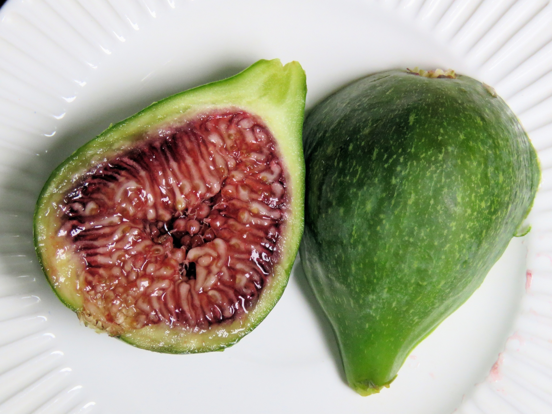 Fresh Fig 2 Free Stock Photo - Public Domain Pictures