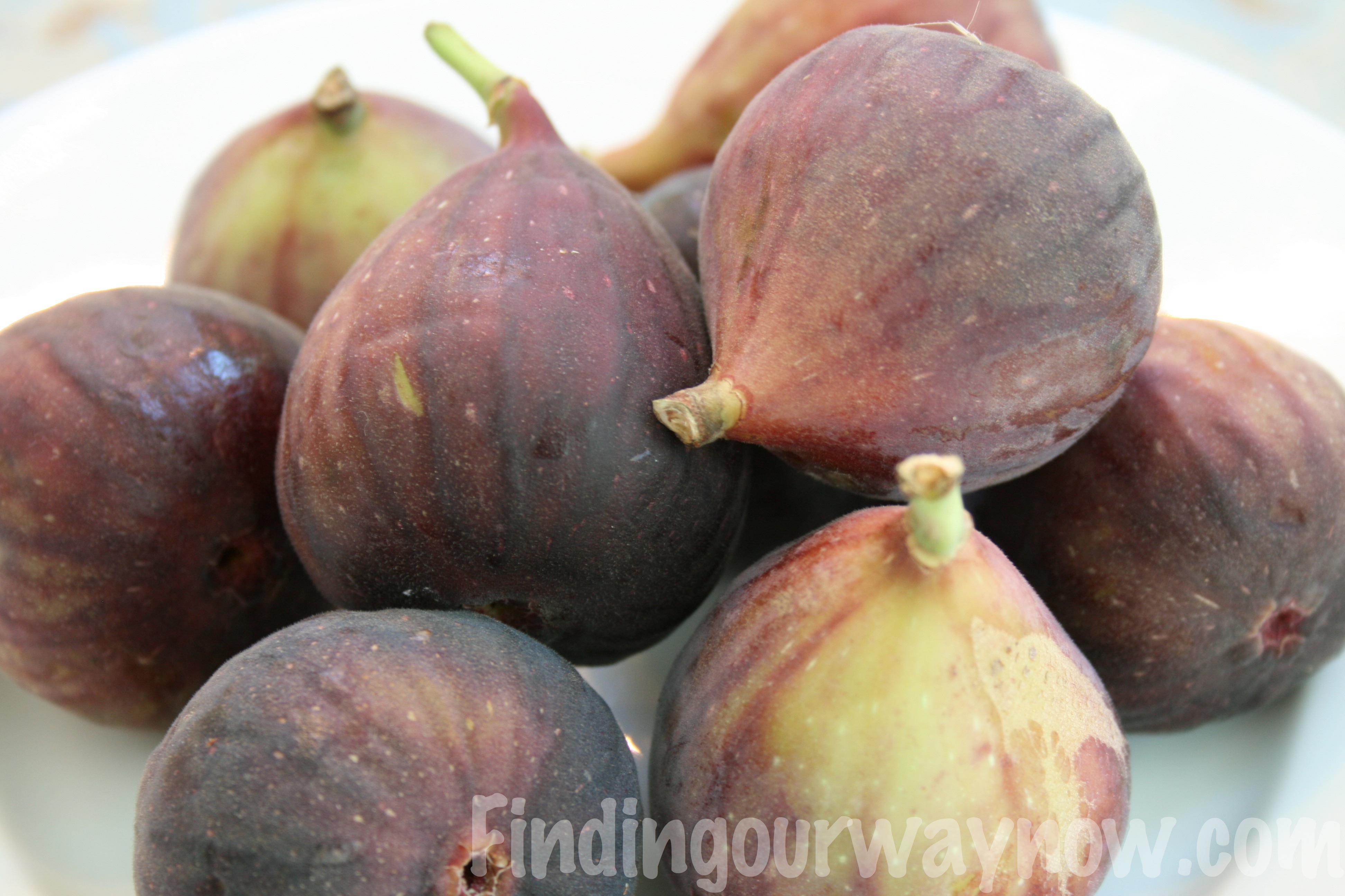 Homemade Fresh Fig Jam: #Recipe - Finding Our Way Now