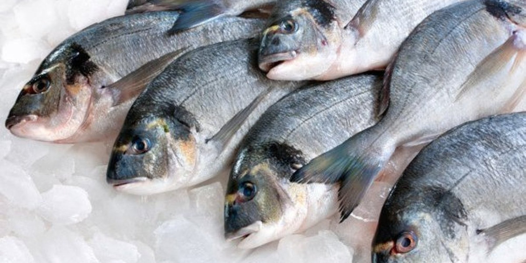 How to Know You're Buying Fresh Fish | HuffPost