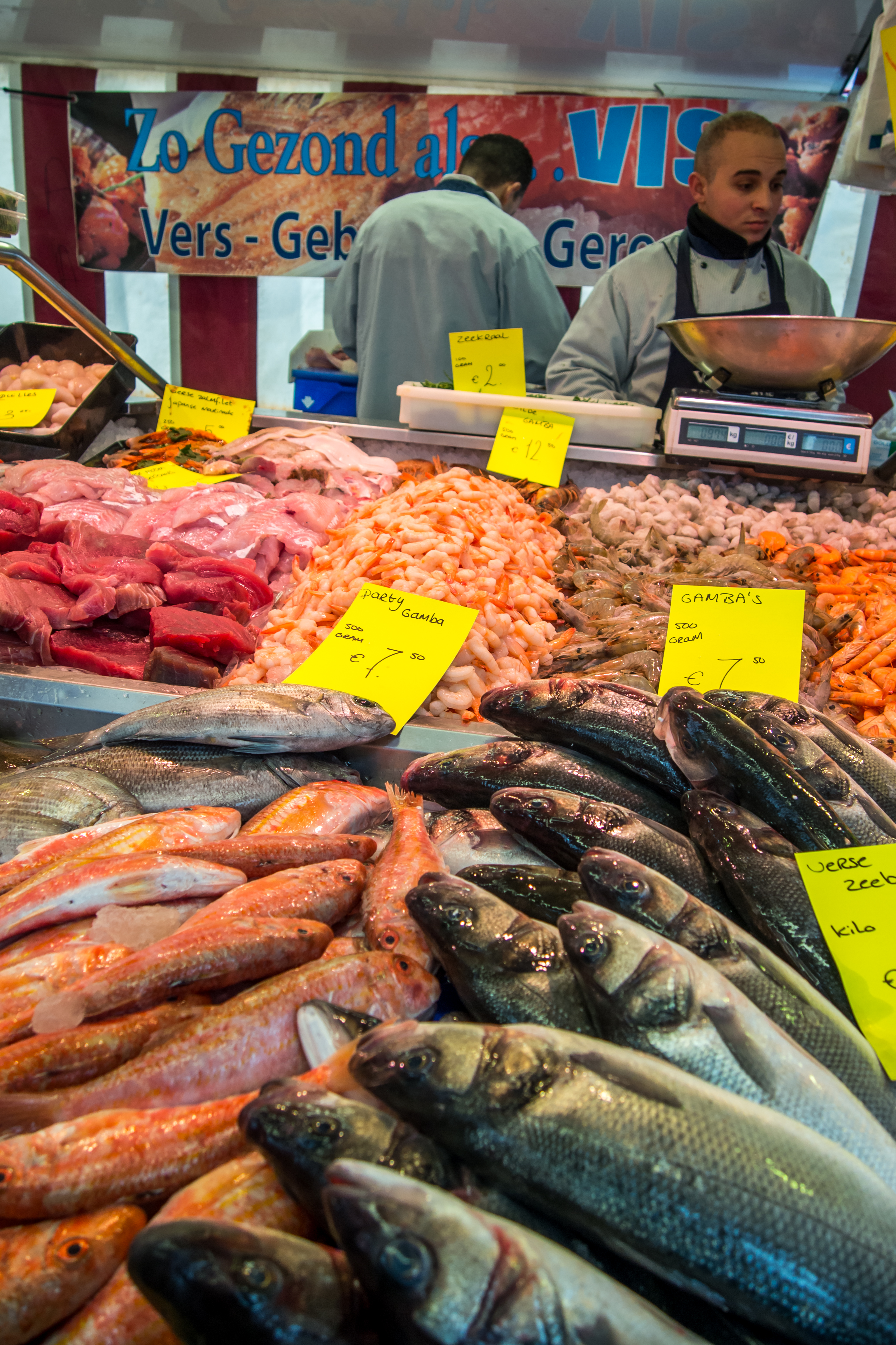 Fresh fishes in a market photo