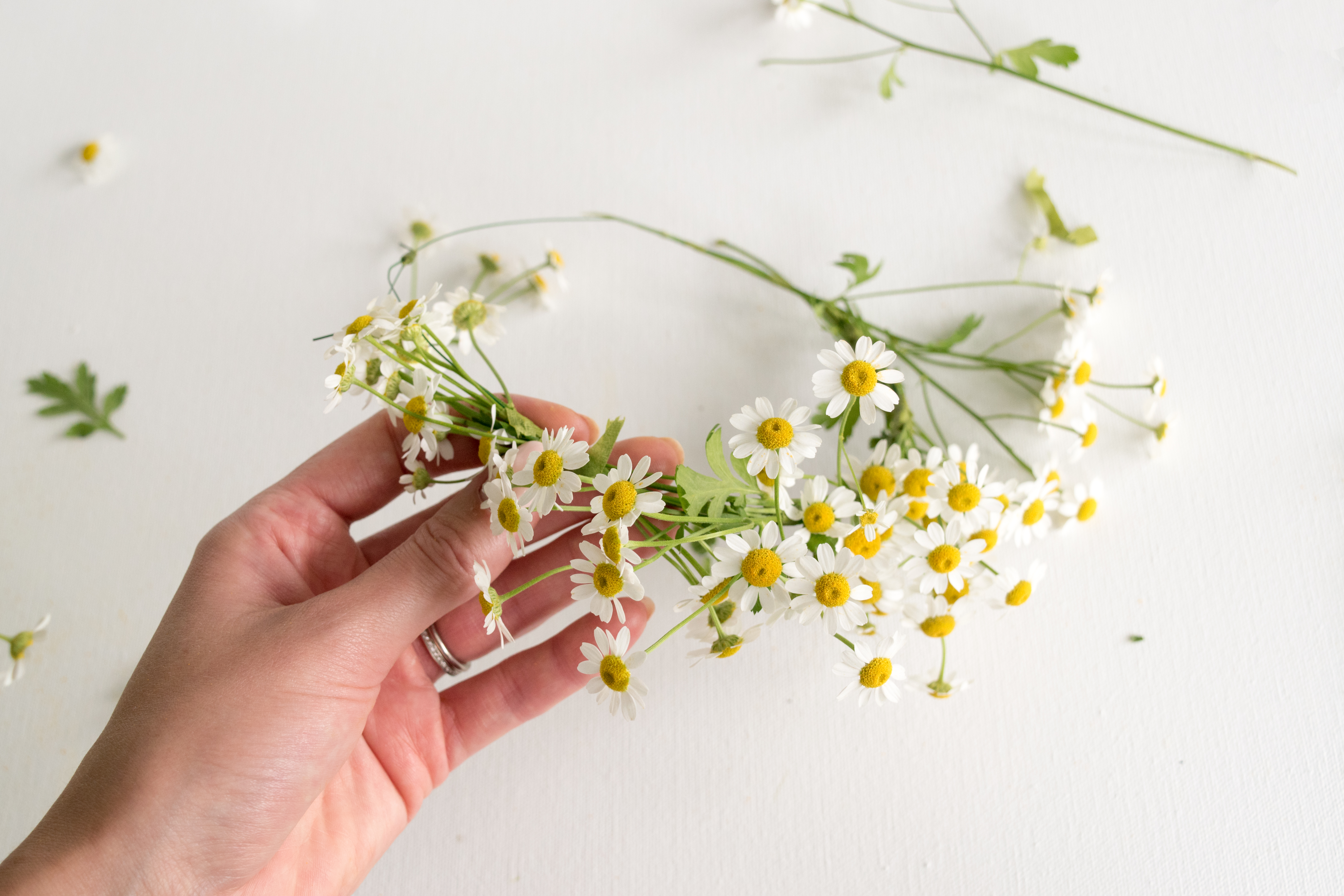 HOW TO MAKE: A FRESH FLOWER CROWN [DIY TUTORIAL] – CHLOE MULLANEY ...