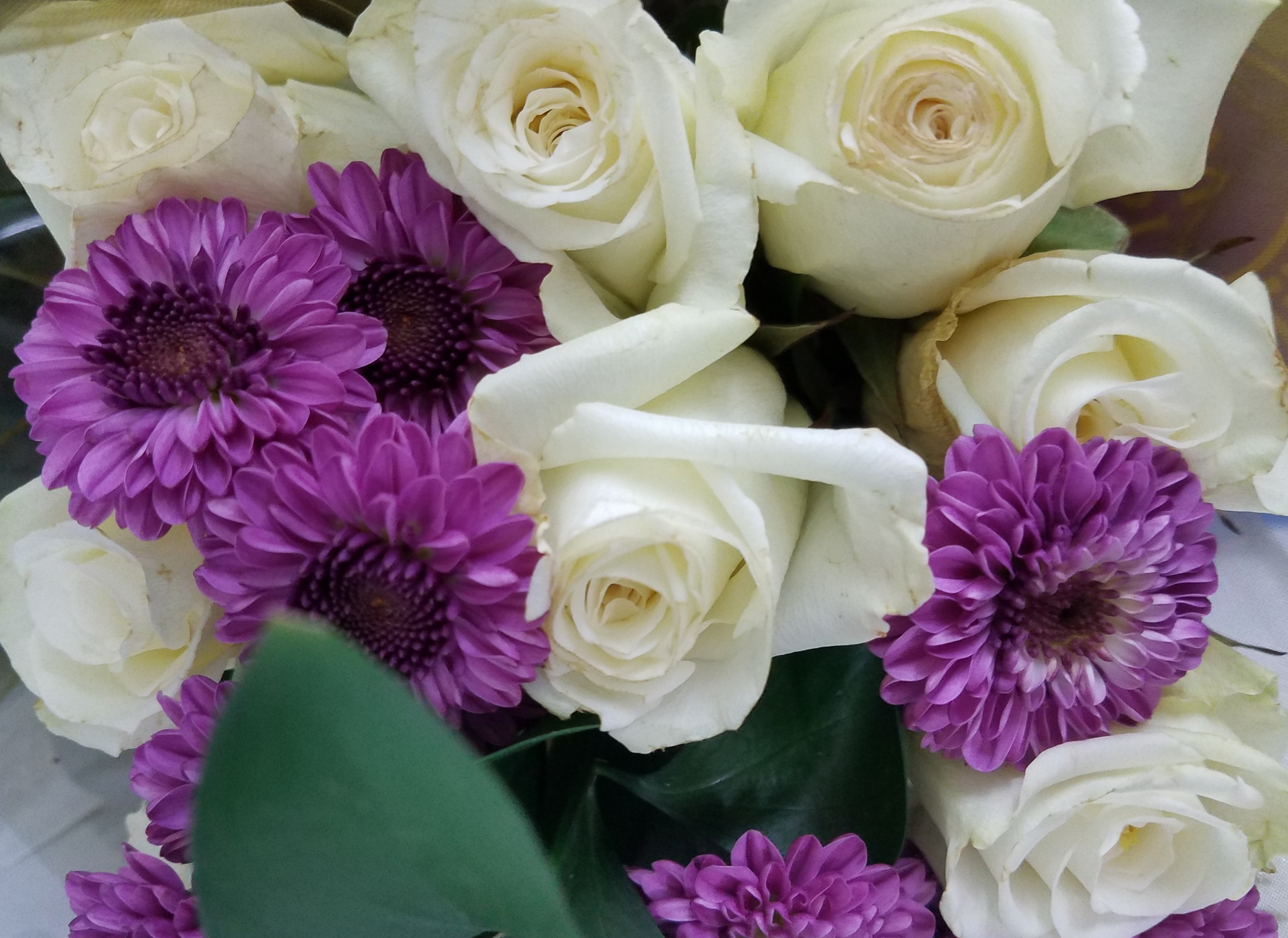 Fresh flower sale at LS Jewelry Designs and Florals - Welcome to the ...