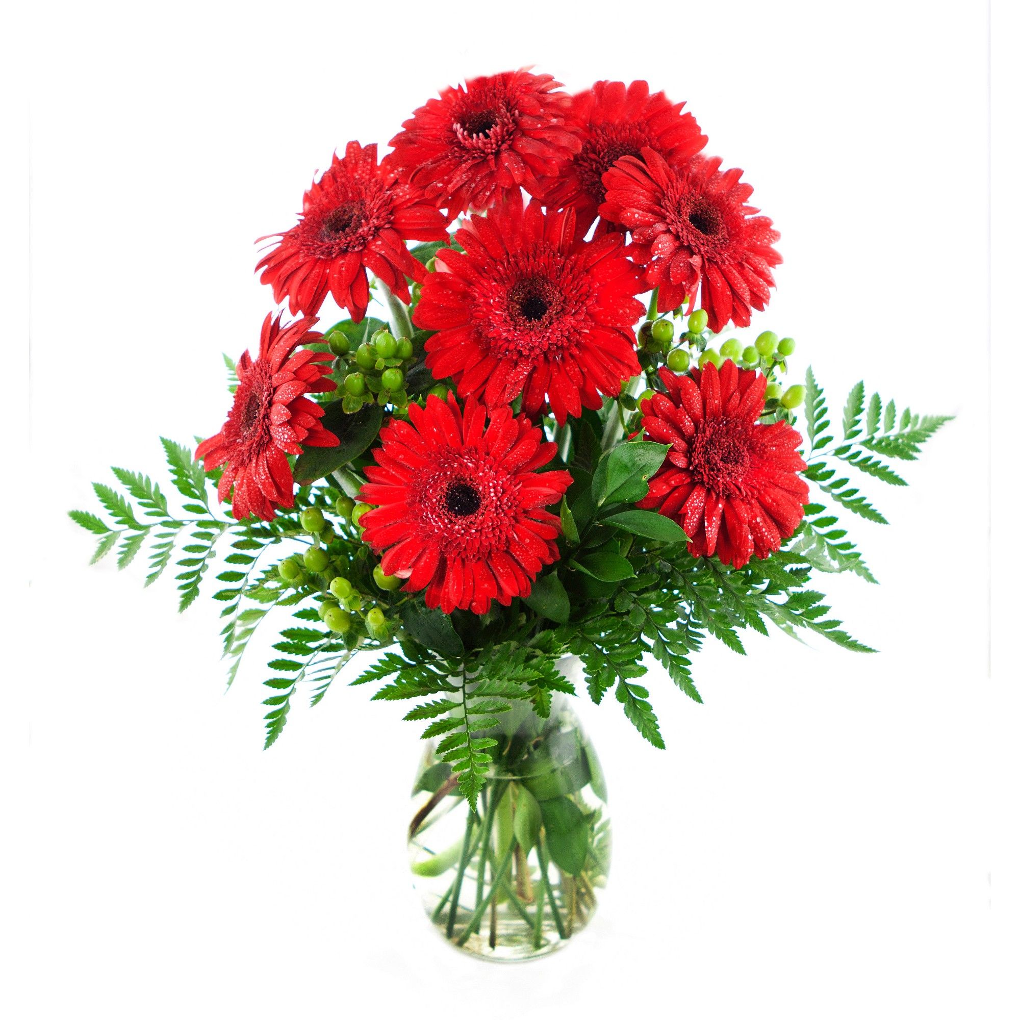 KaBloom Red Apple Daisies Fresh Flower Arrangement - with Vase | Red ...