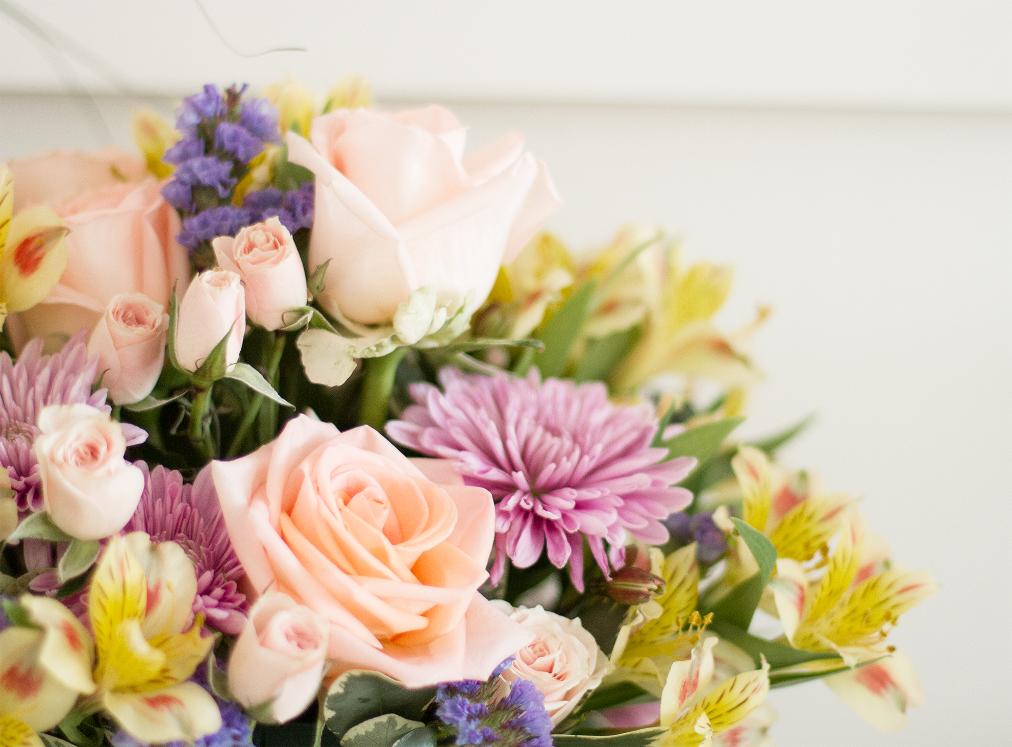 Free Photo Fresh Flowers Flower Fresh Freshness Free Download 