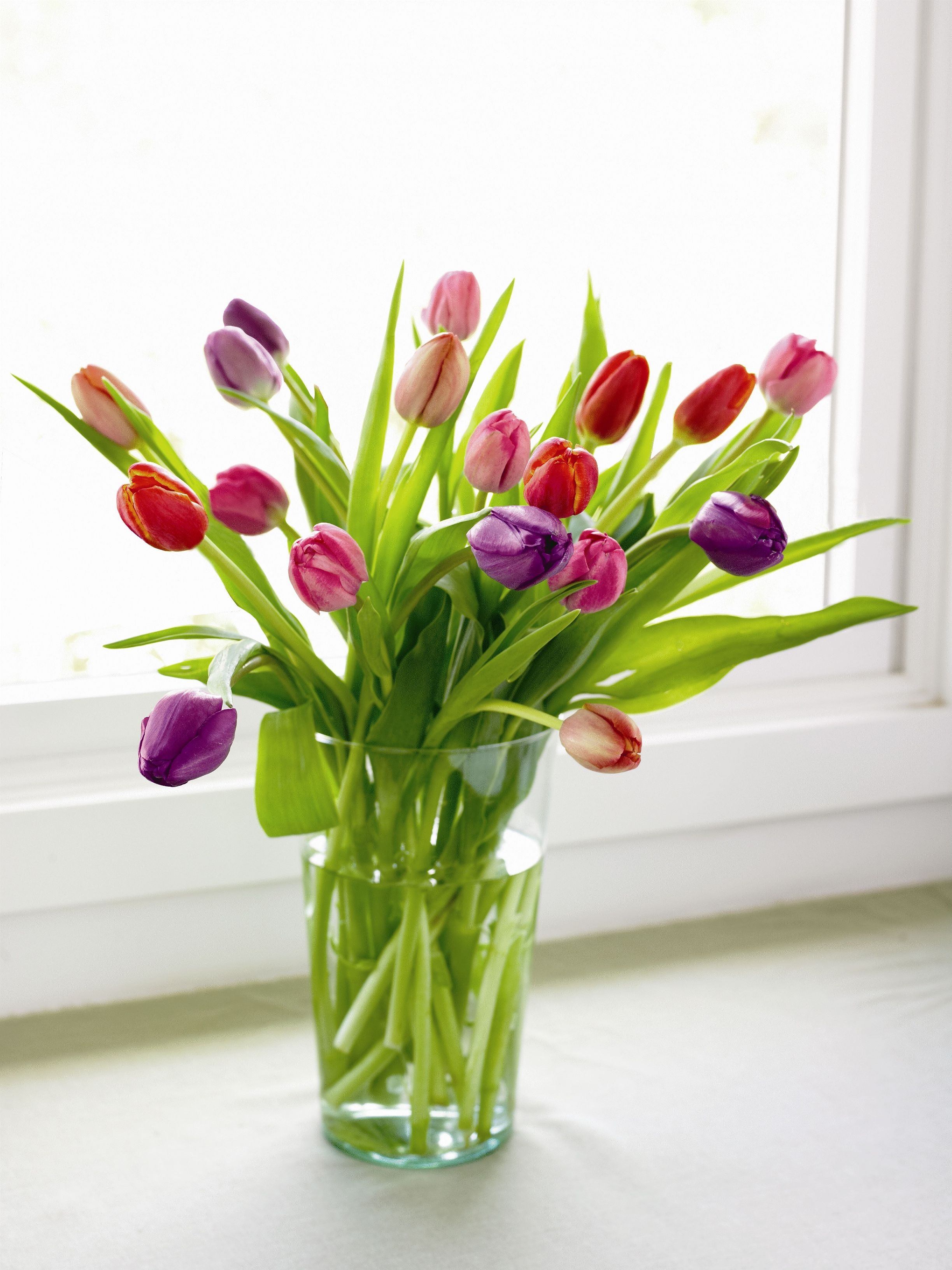 The Benefits of Having Fresh Flowers in the Home