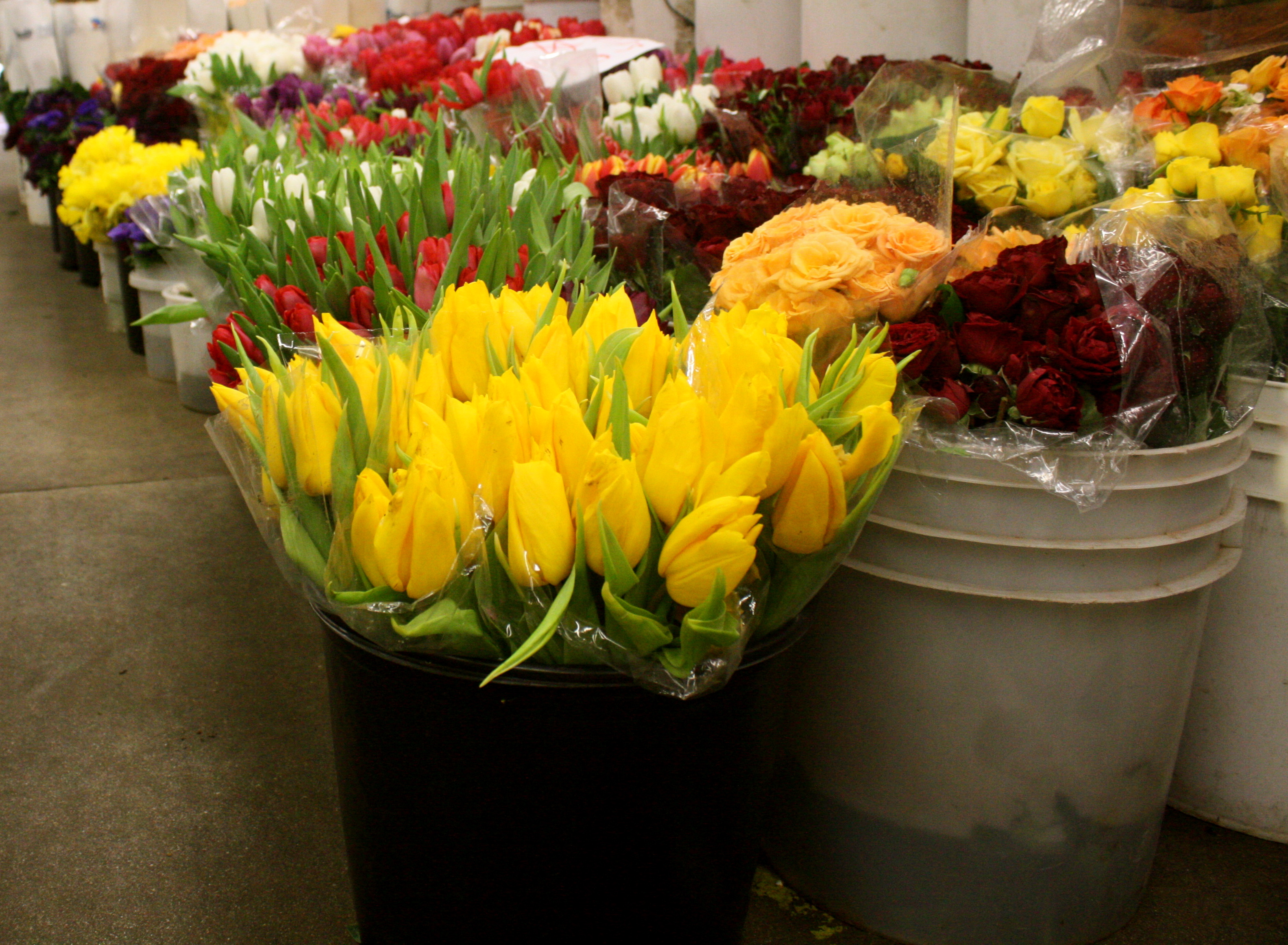 Blogs - L.A. Flower Market sells fresh flowers at wholesale price ...
