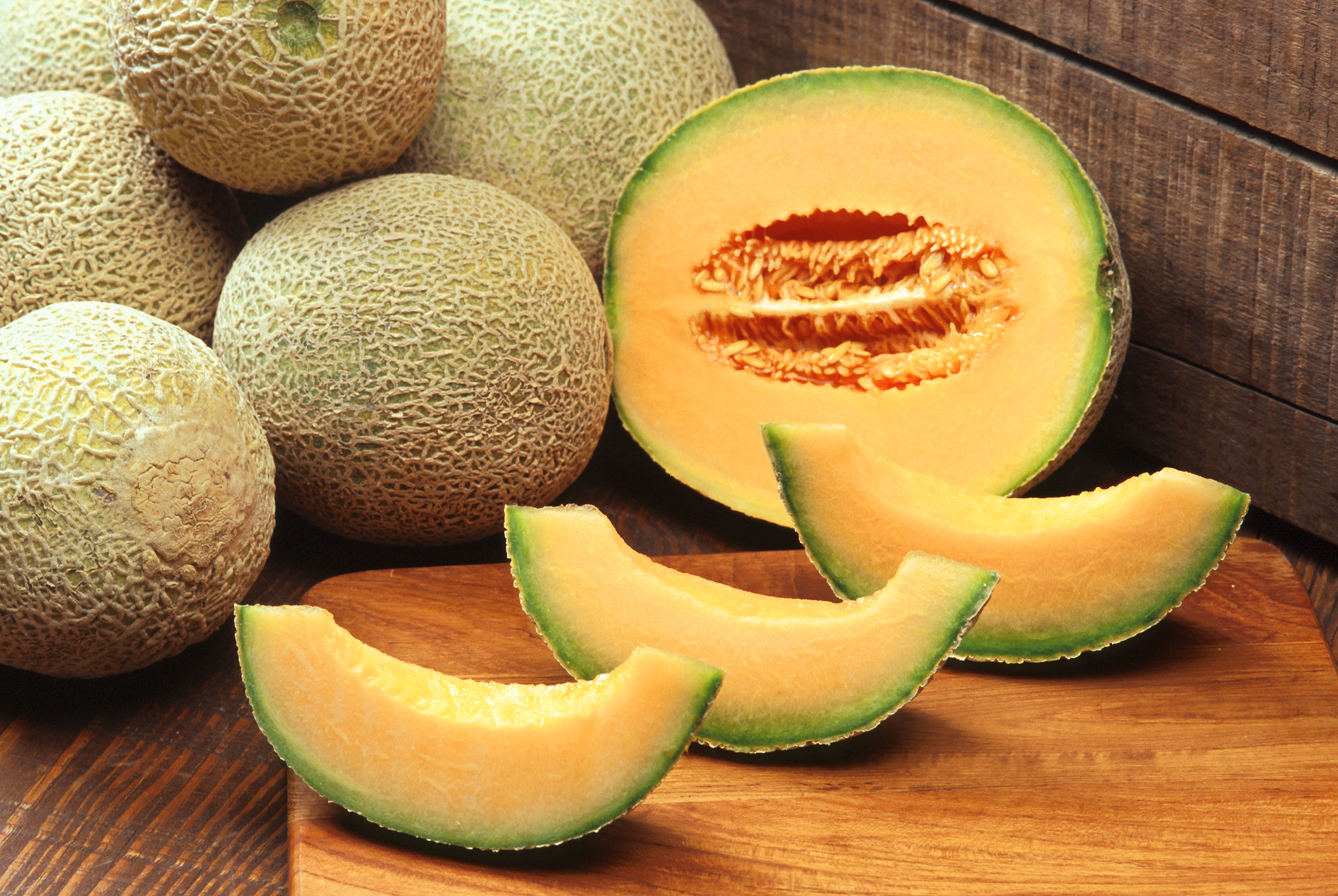 Galia melon | HX Vegetable
