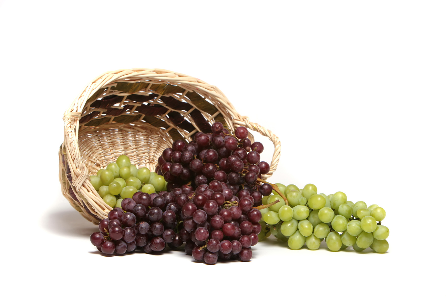 Fresh grapes 49386 - Cherry Grape - Harvest season