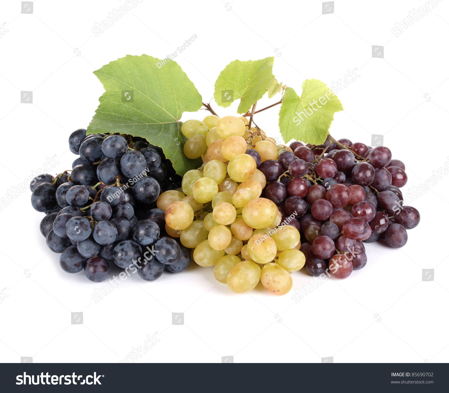 Three Fresh Grapes Leaves Isolated On Stock Photo 85690702 ...