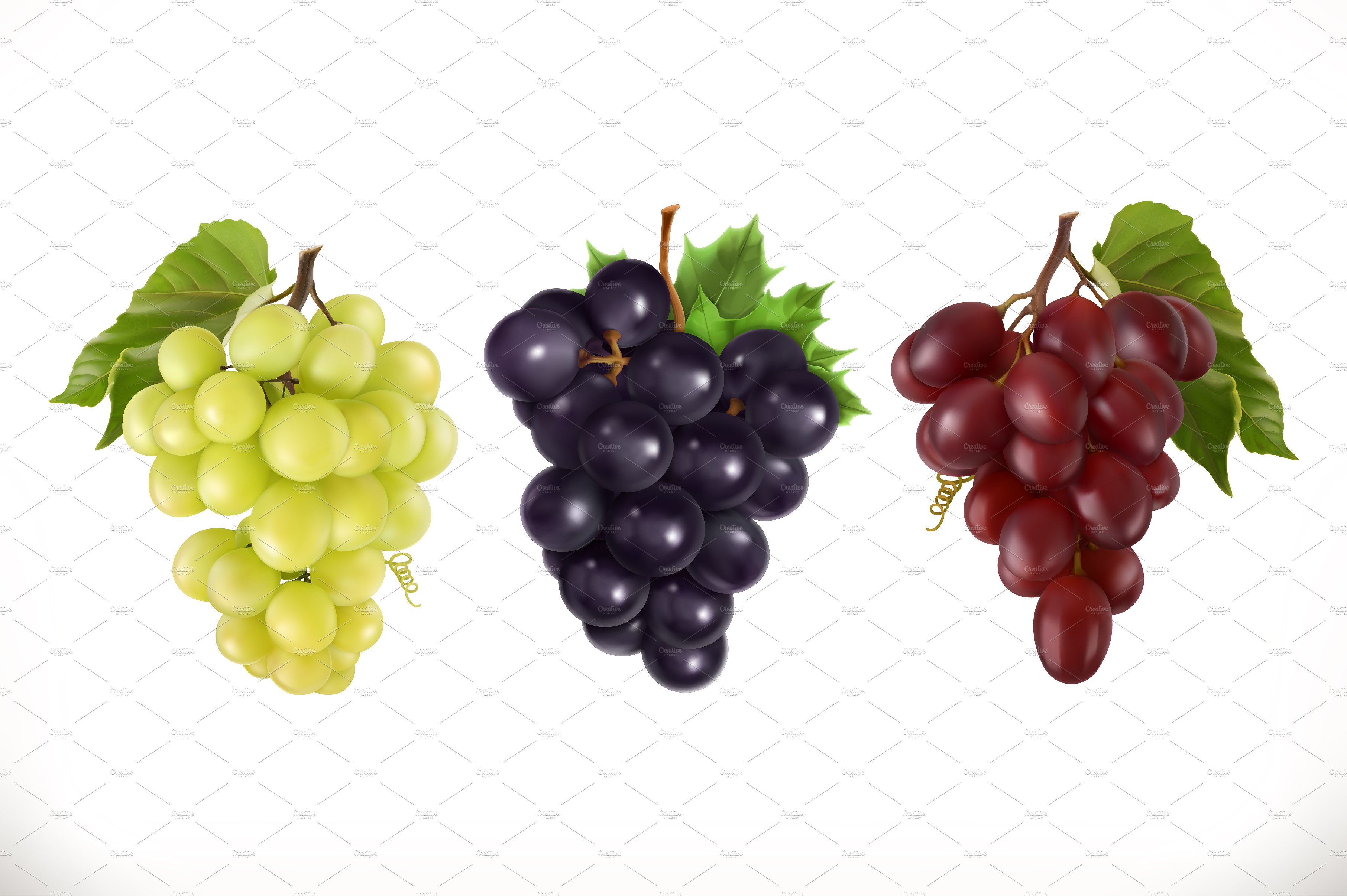 Wine grapes. Vector icon set ~ Illustrations ~ Creative Market