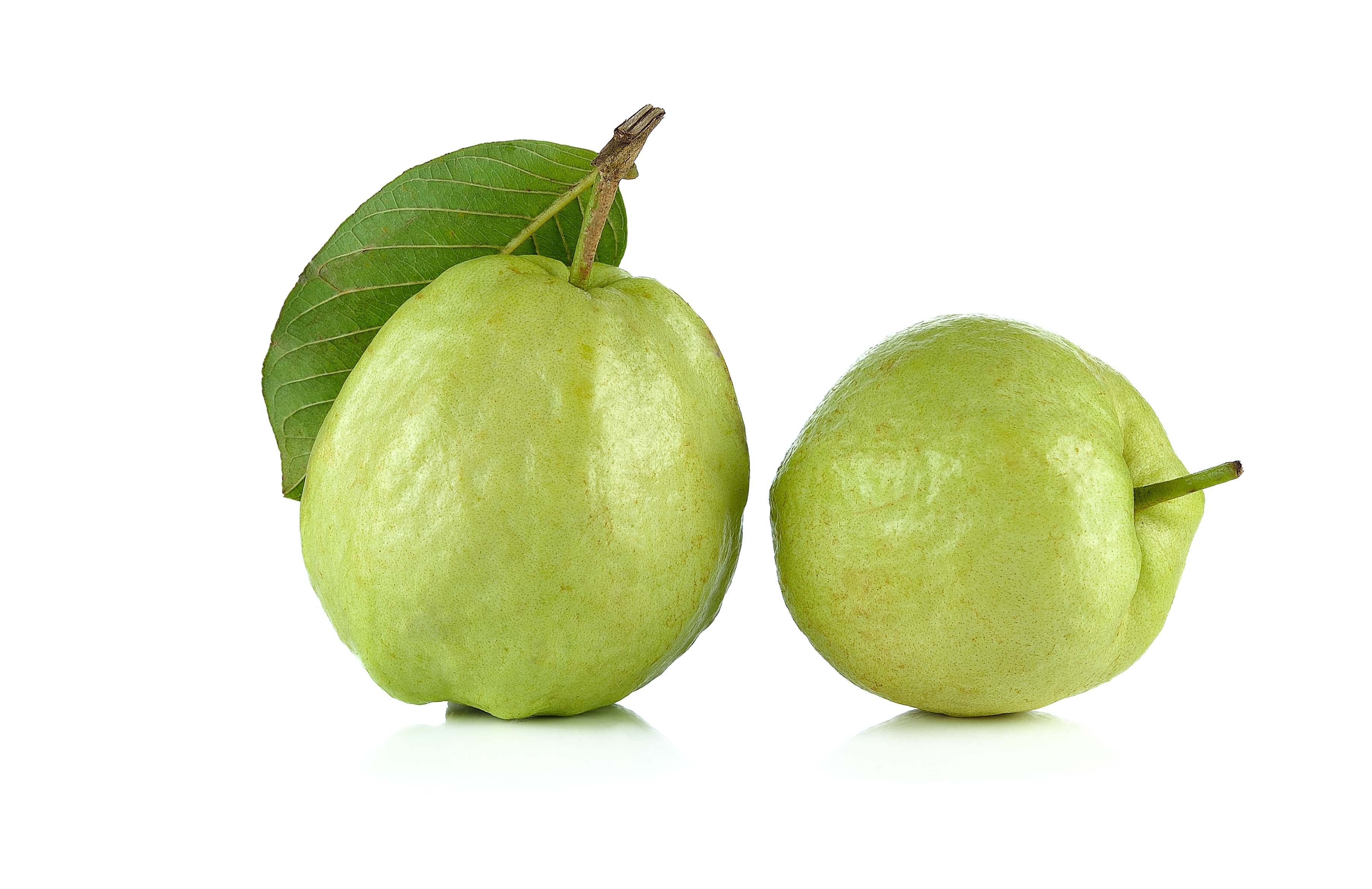 Thai Guava Seedless - Products Satoyu Trading | Fresh Fruits ...