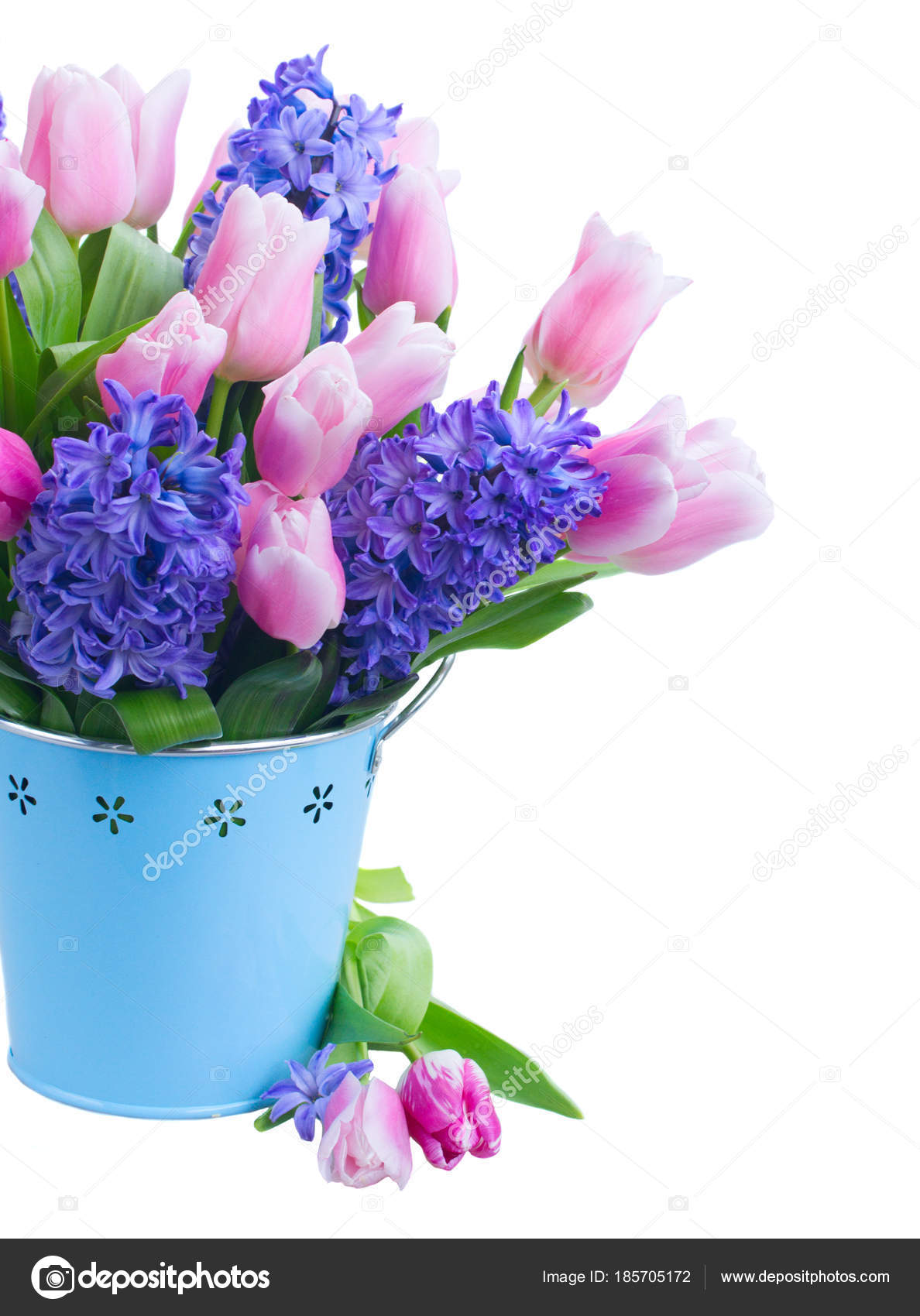 hyacinths and tulips — Stock Photo © Neirfys #185705172