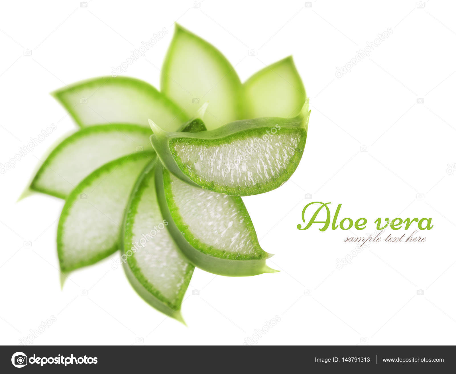 Fresh leaves of aloe vera — Stock Photo © ninell #143791313
