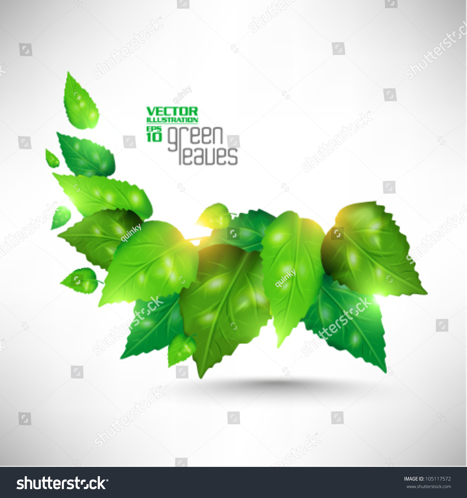 Modern Green Fresh Leaves Vector Design Stock Vector 105117572 ...